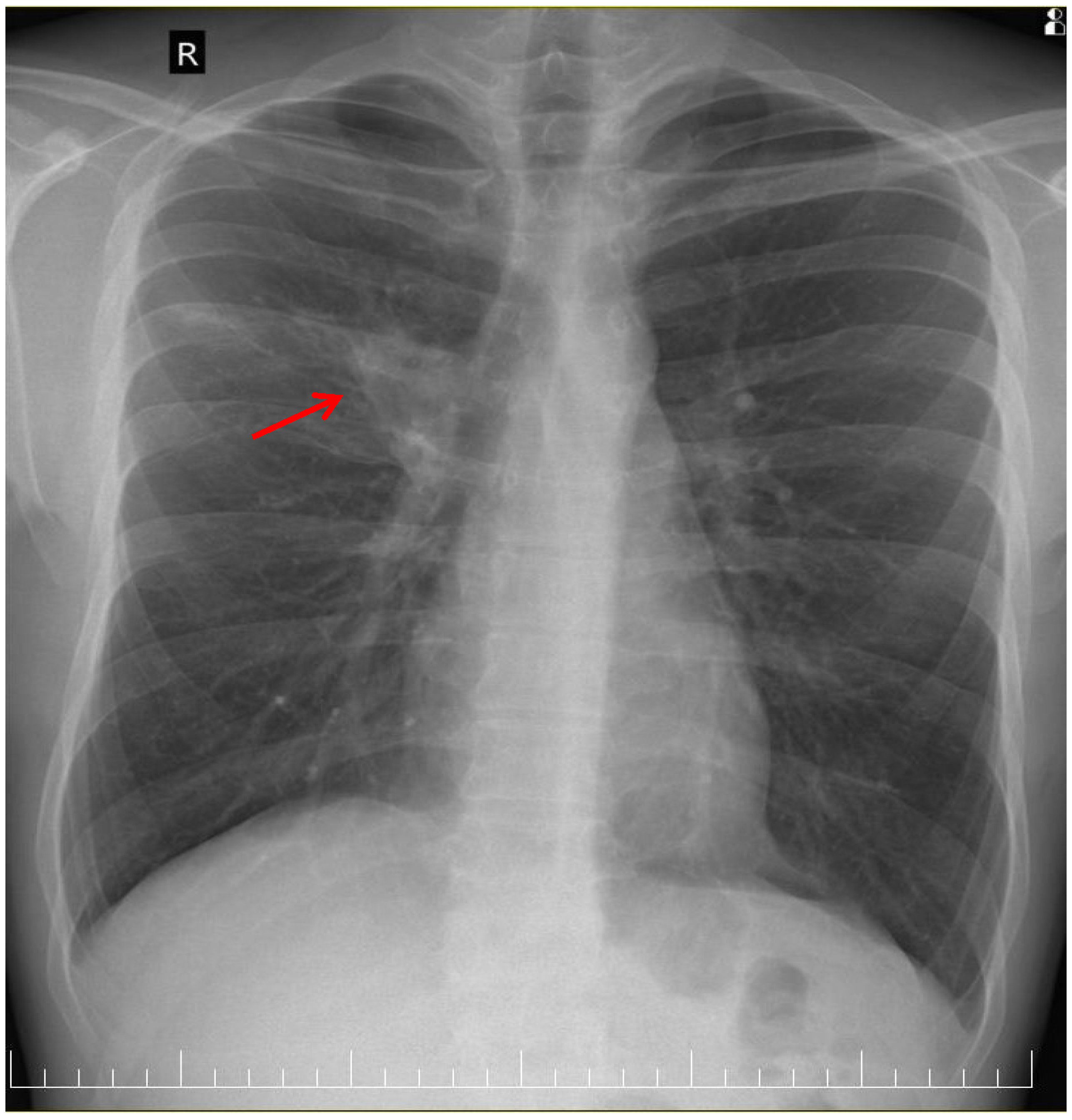 Clinpract 15 00071 g001