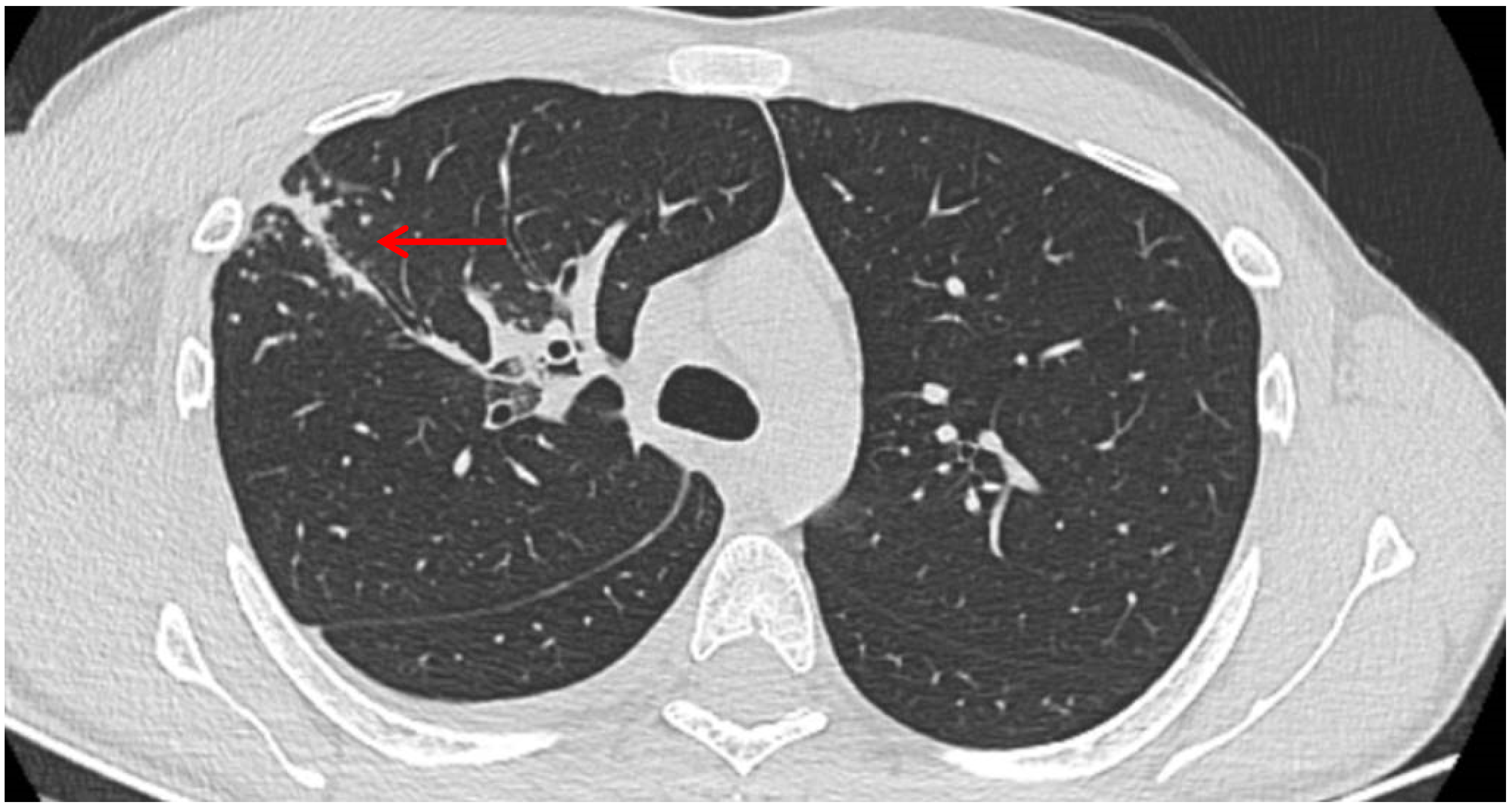Clinpract 15 00071 g002