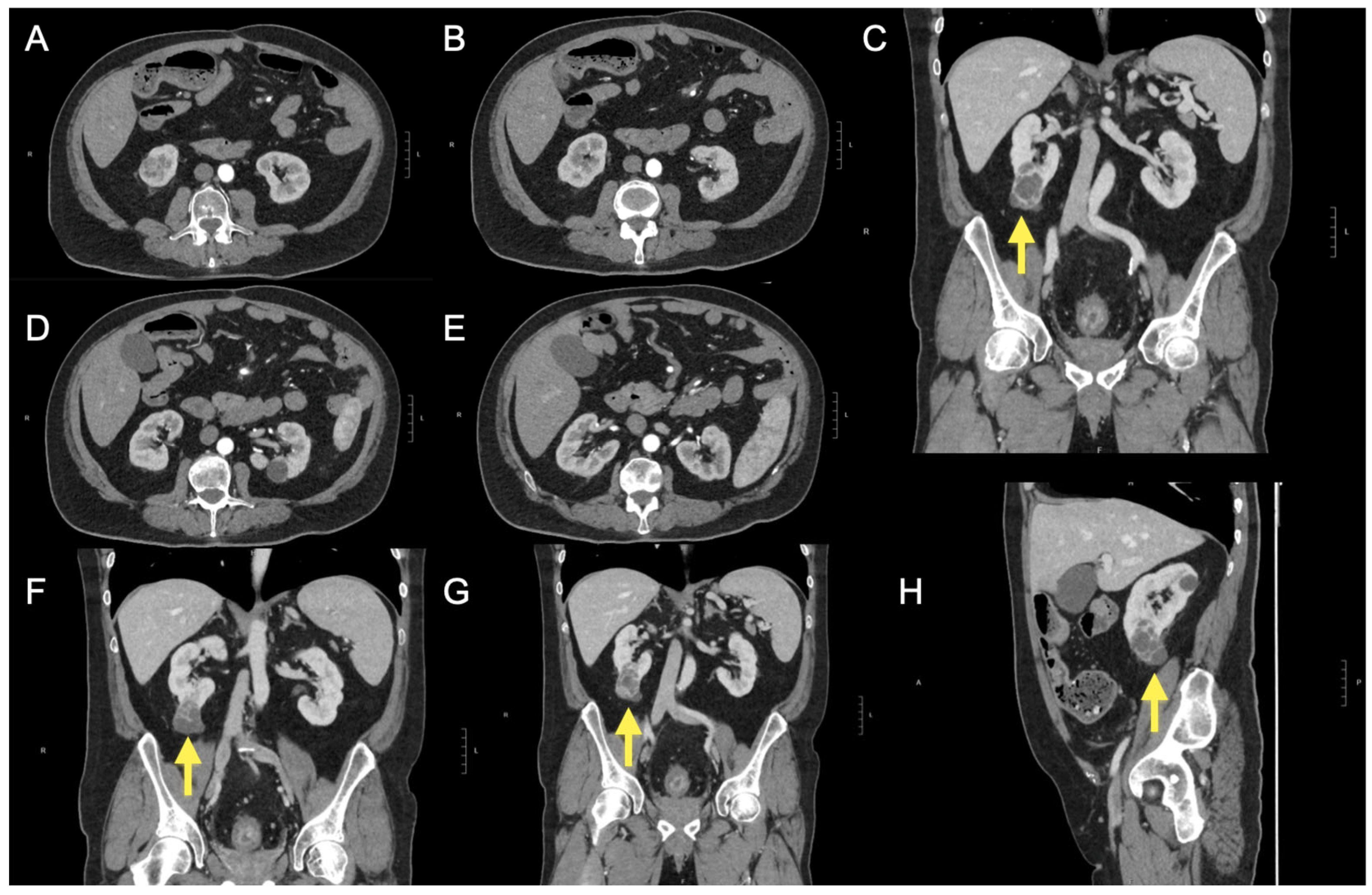 Clinpract 15 00075 g001