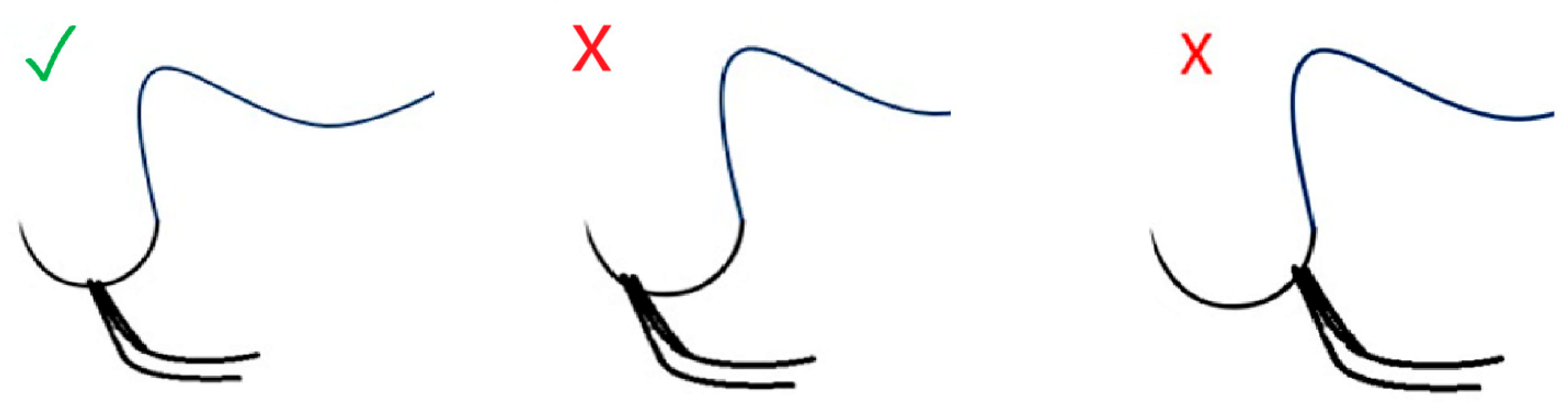 Clinpract 15 00082 g001