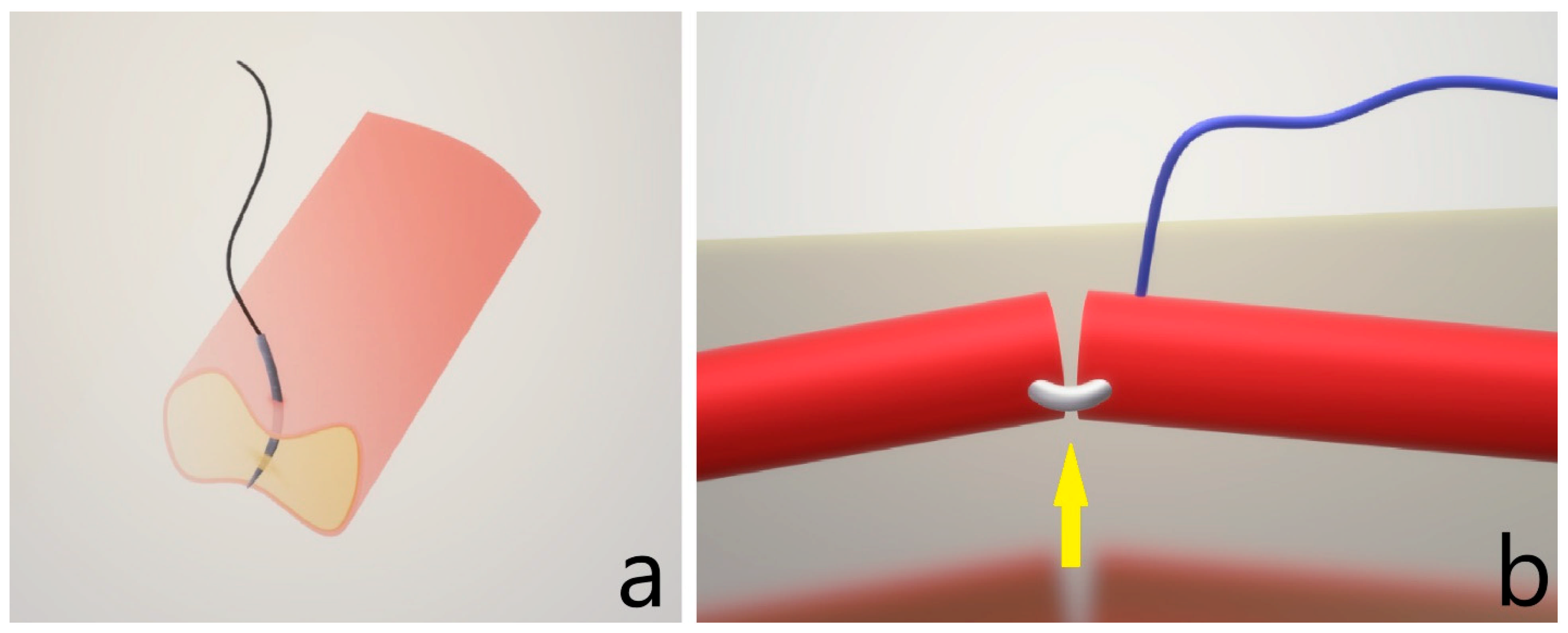 Clinpract 15 00082 g003
