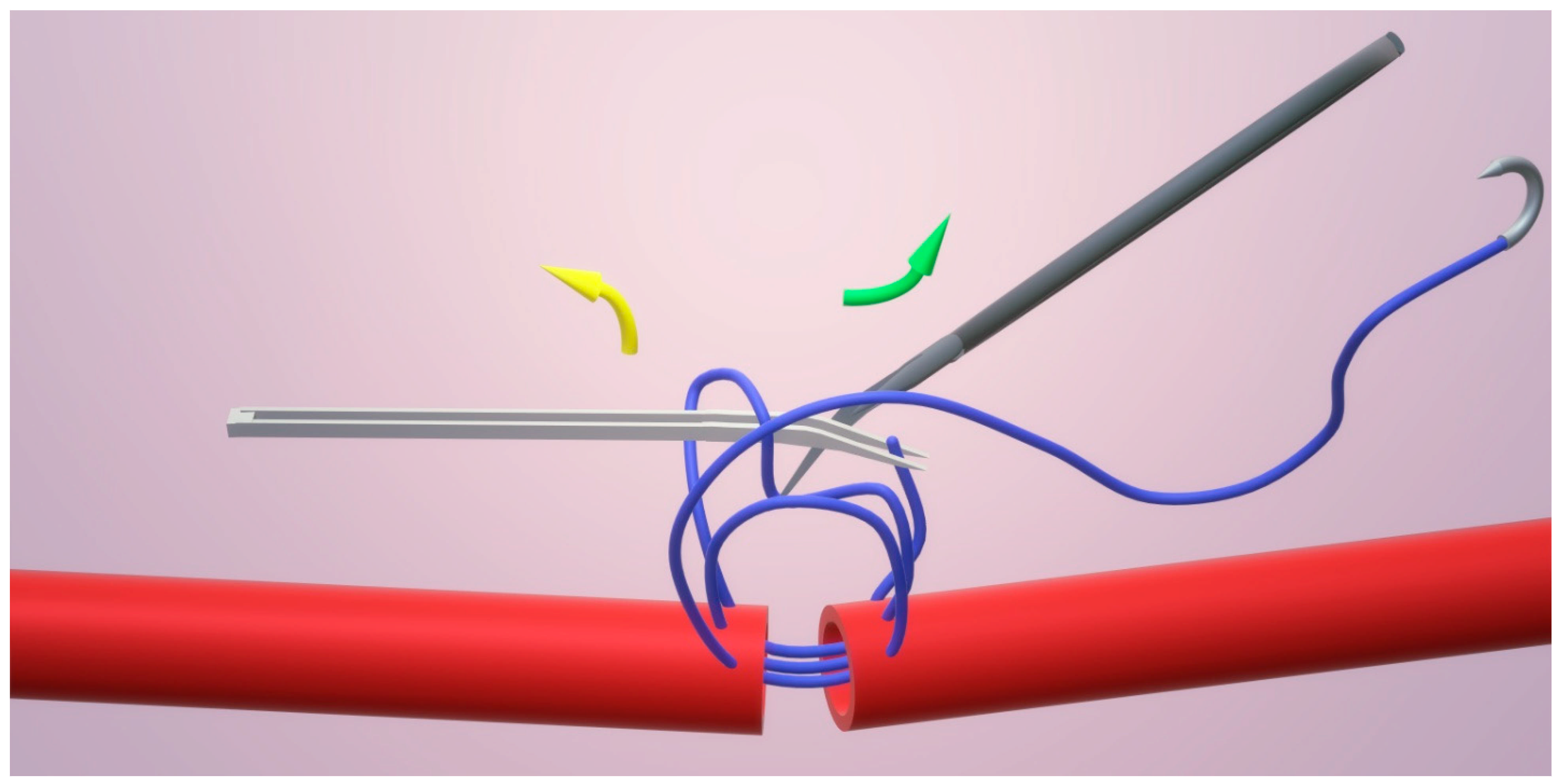 Clinpract 15 00082 g004