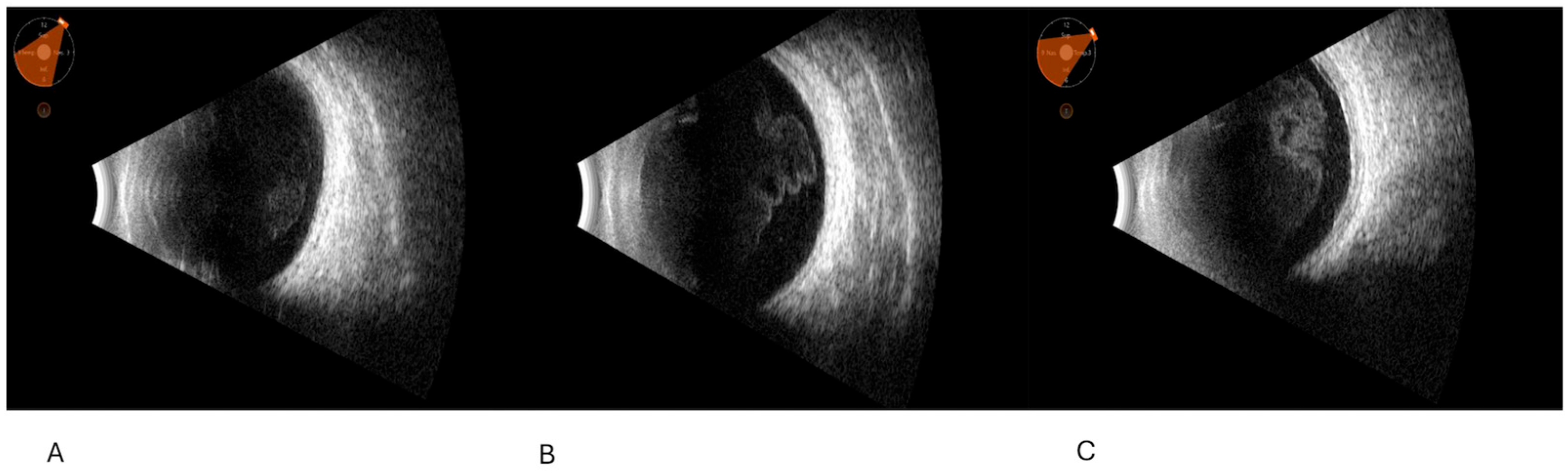 Clinpract 15 00084 g001