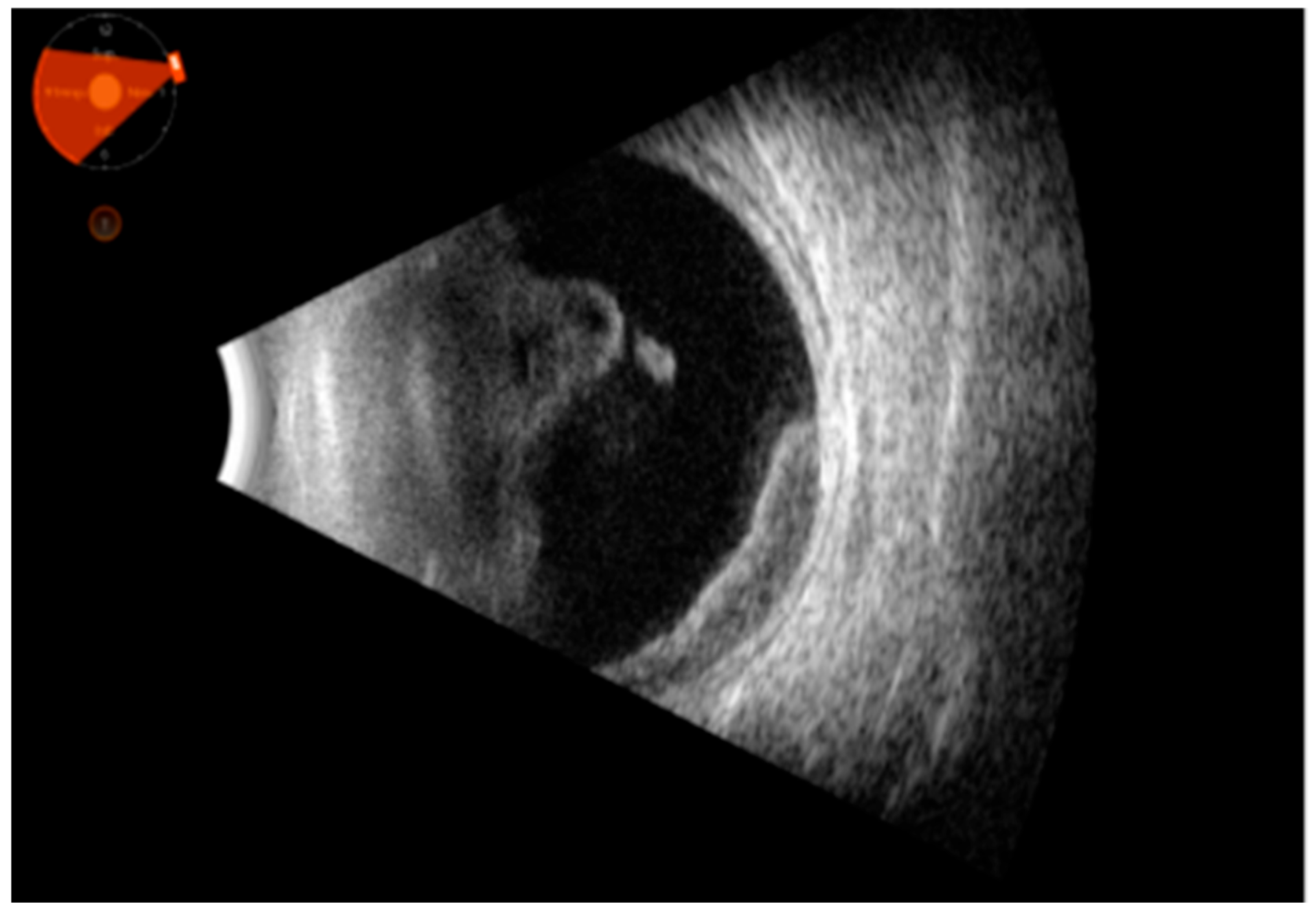 Clinpract 15 00084 g002