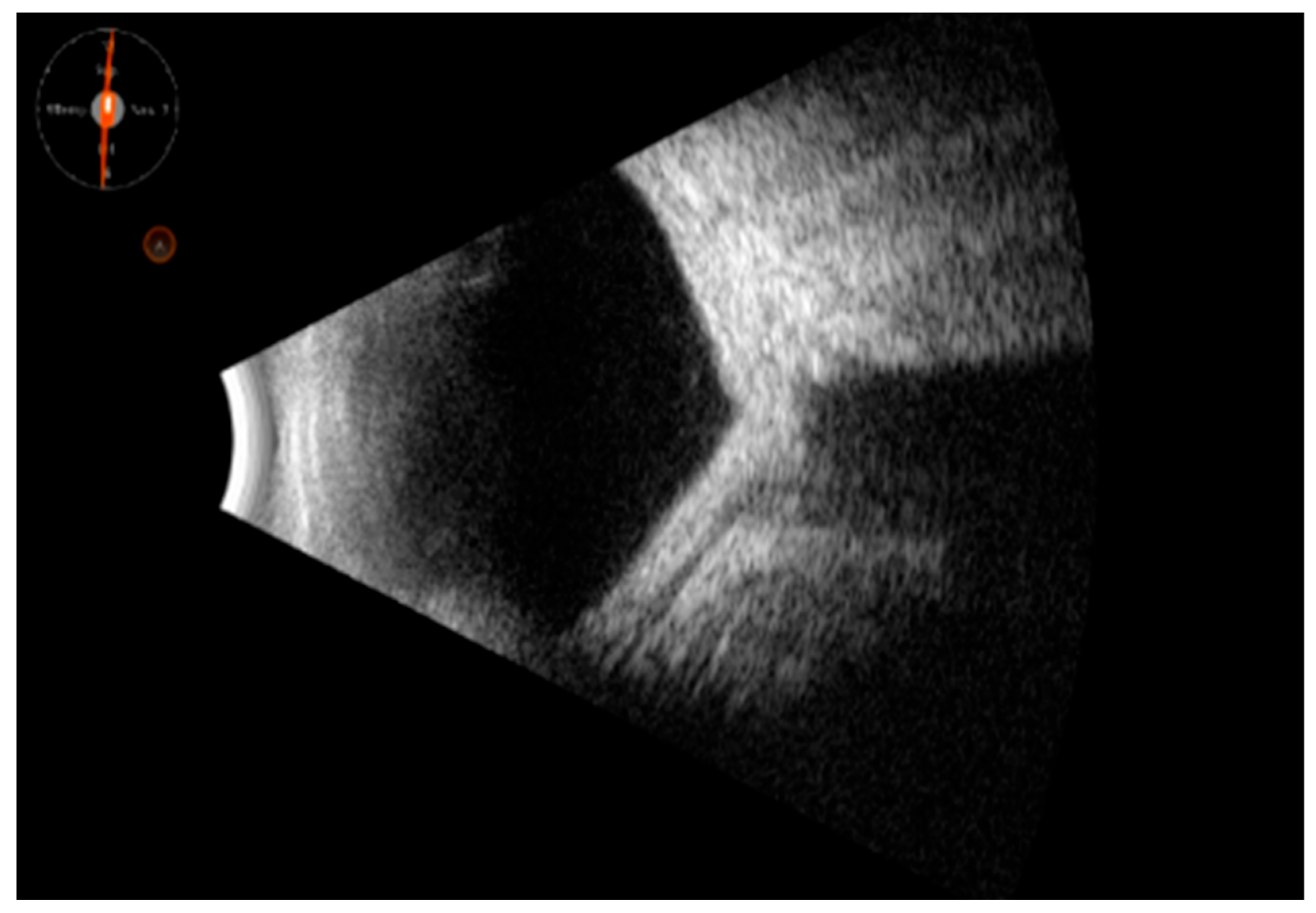 Clinpract 15 00084 g003