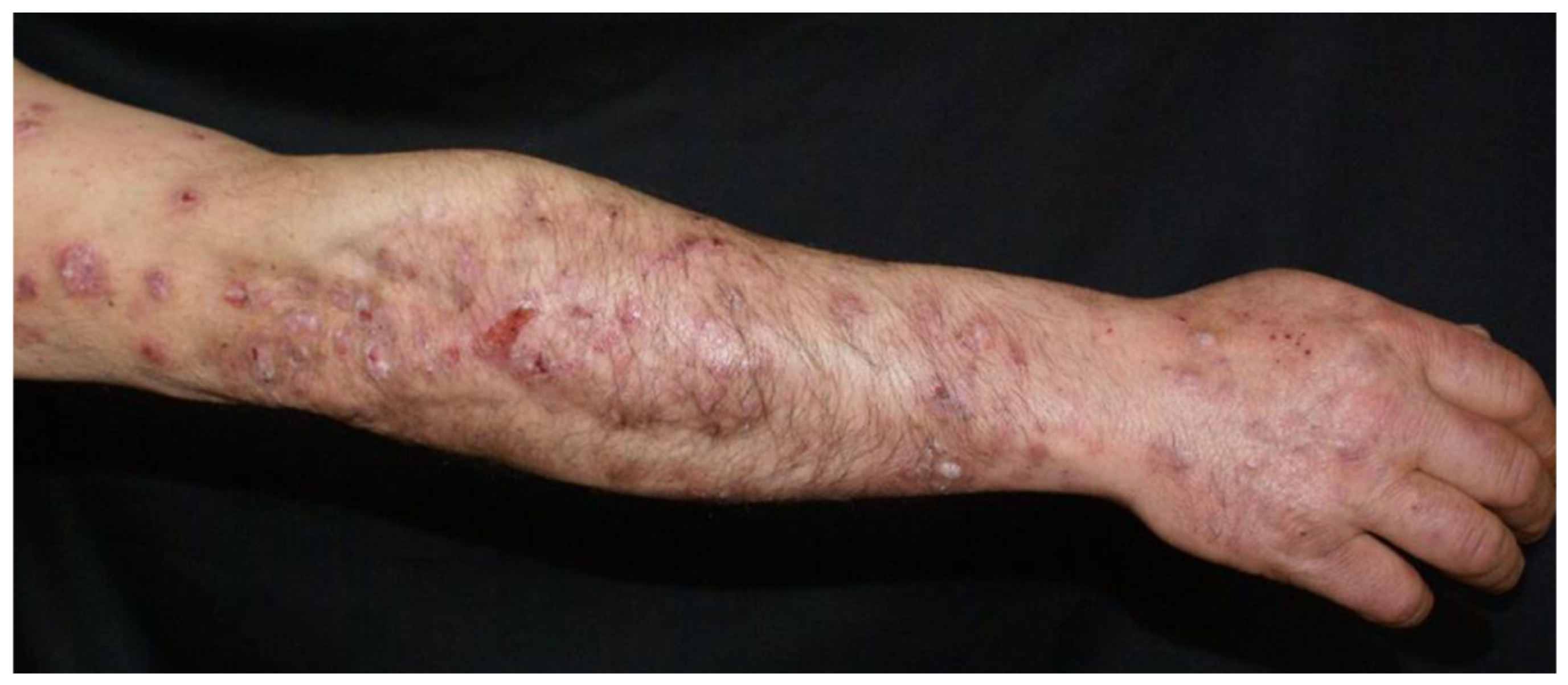 Clinpract 15 00091 g003 Clinpract 15 00091 g003