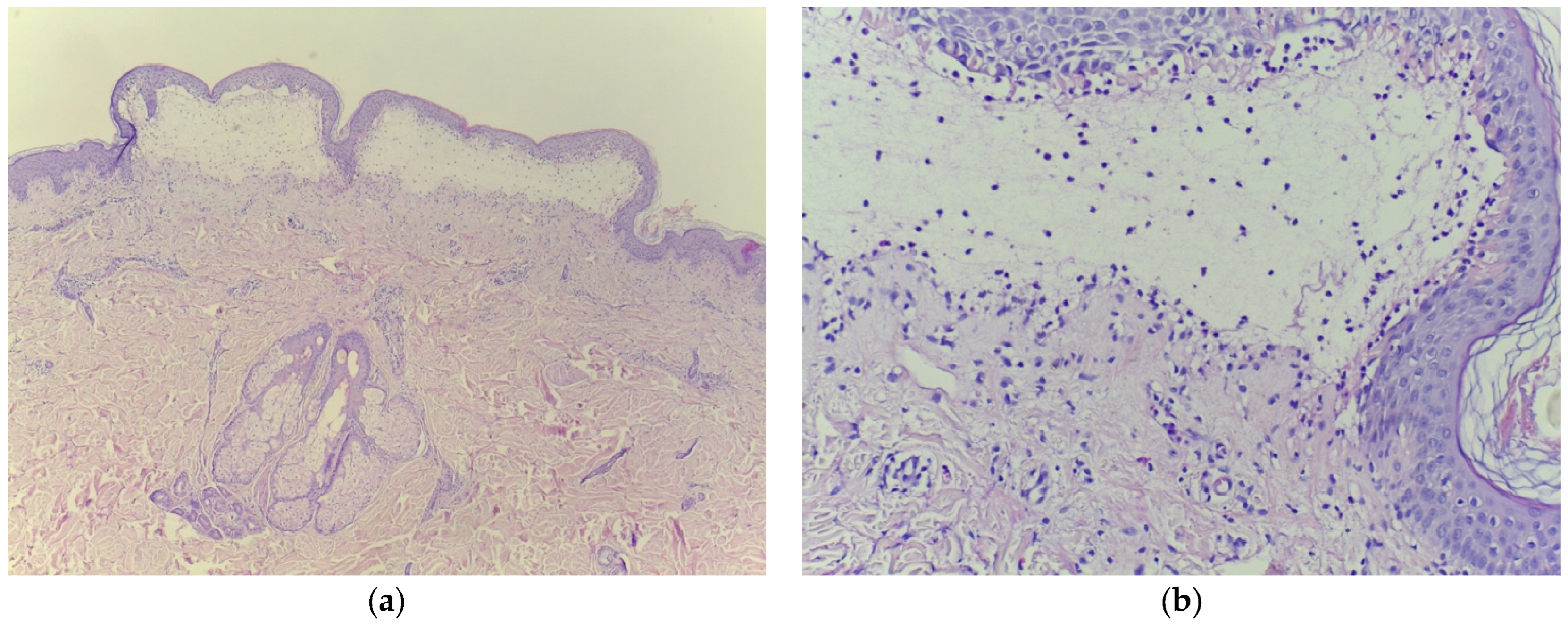 Clinpract 15 00091 g004 Clinpract 15 00091 g004