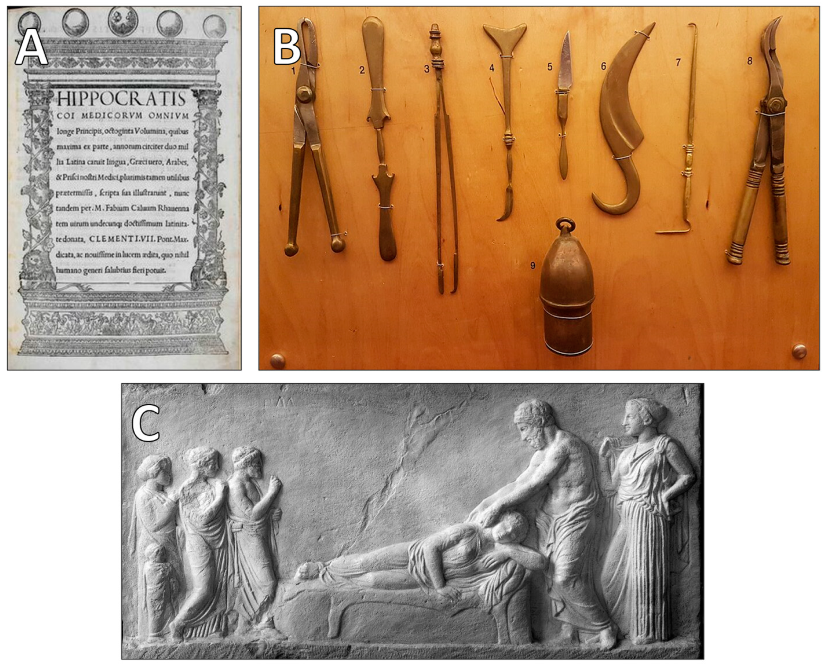 Clinpract 15 00093 g001