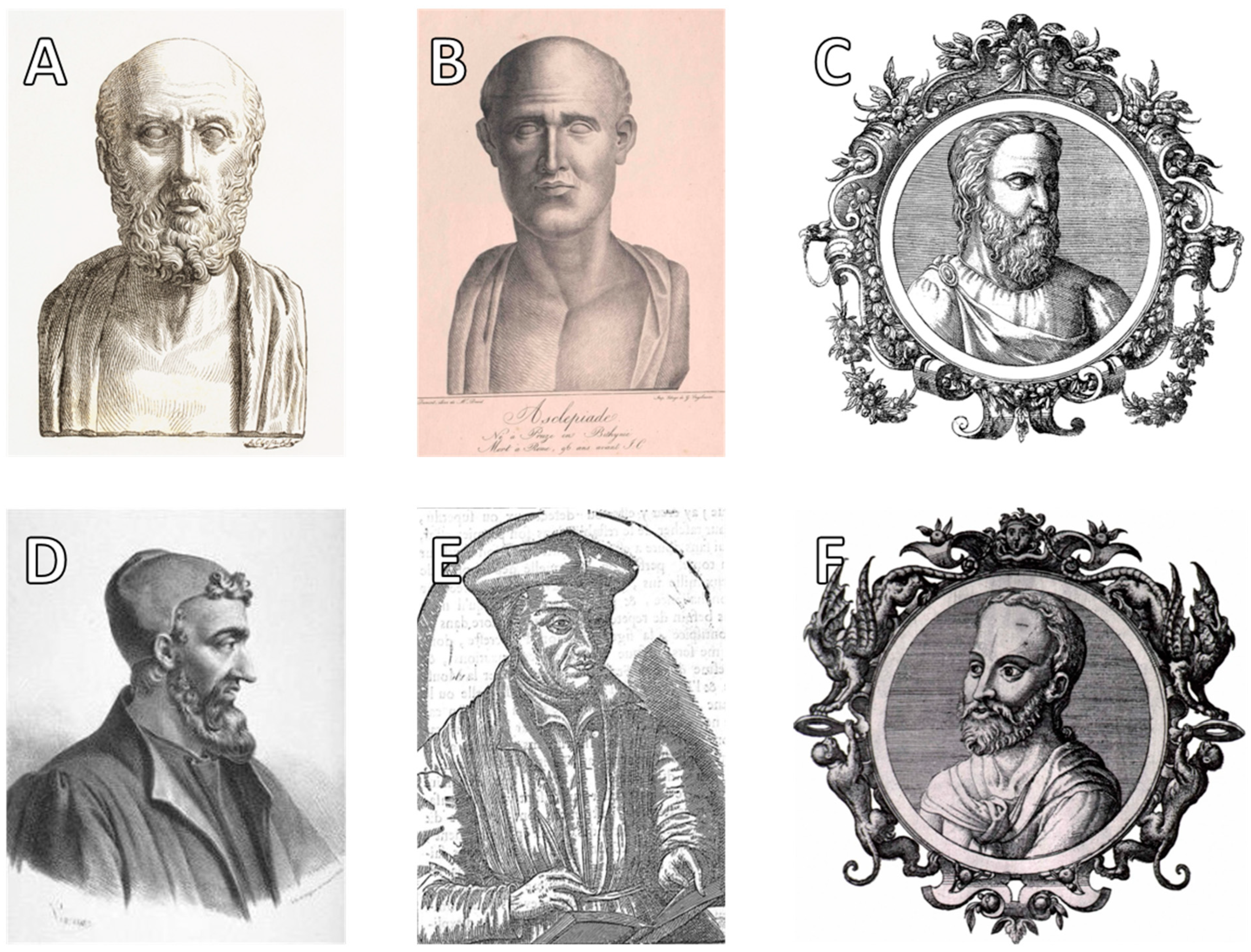 Clinpract 15 00093 g003