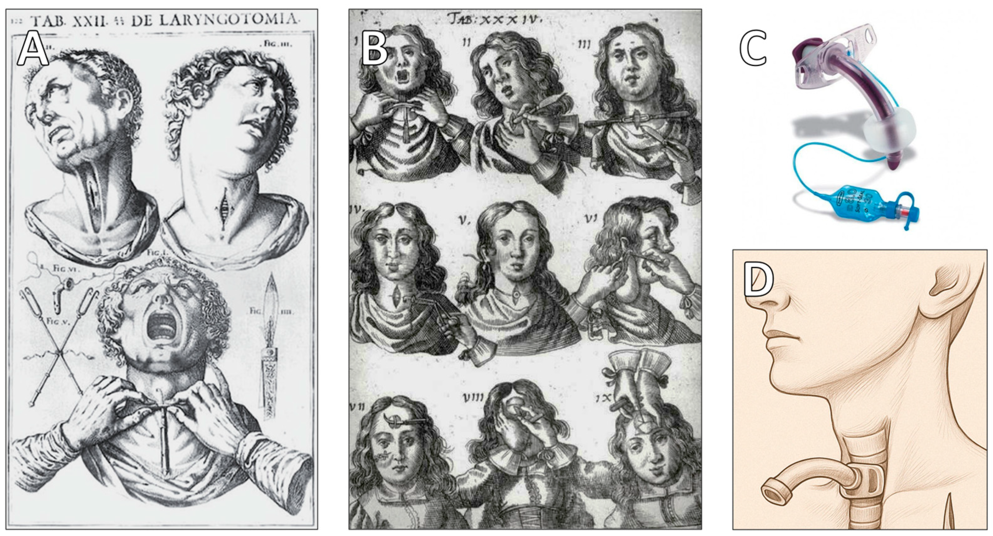 Clinpract 15 00093 g004