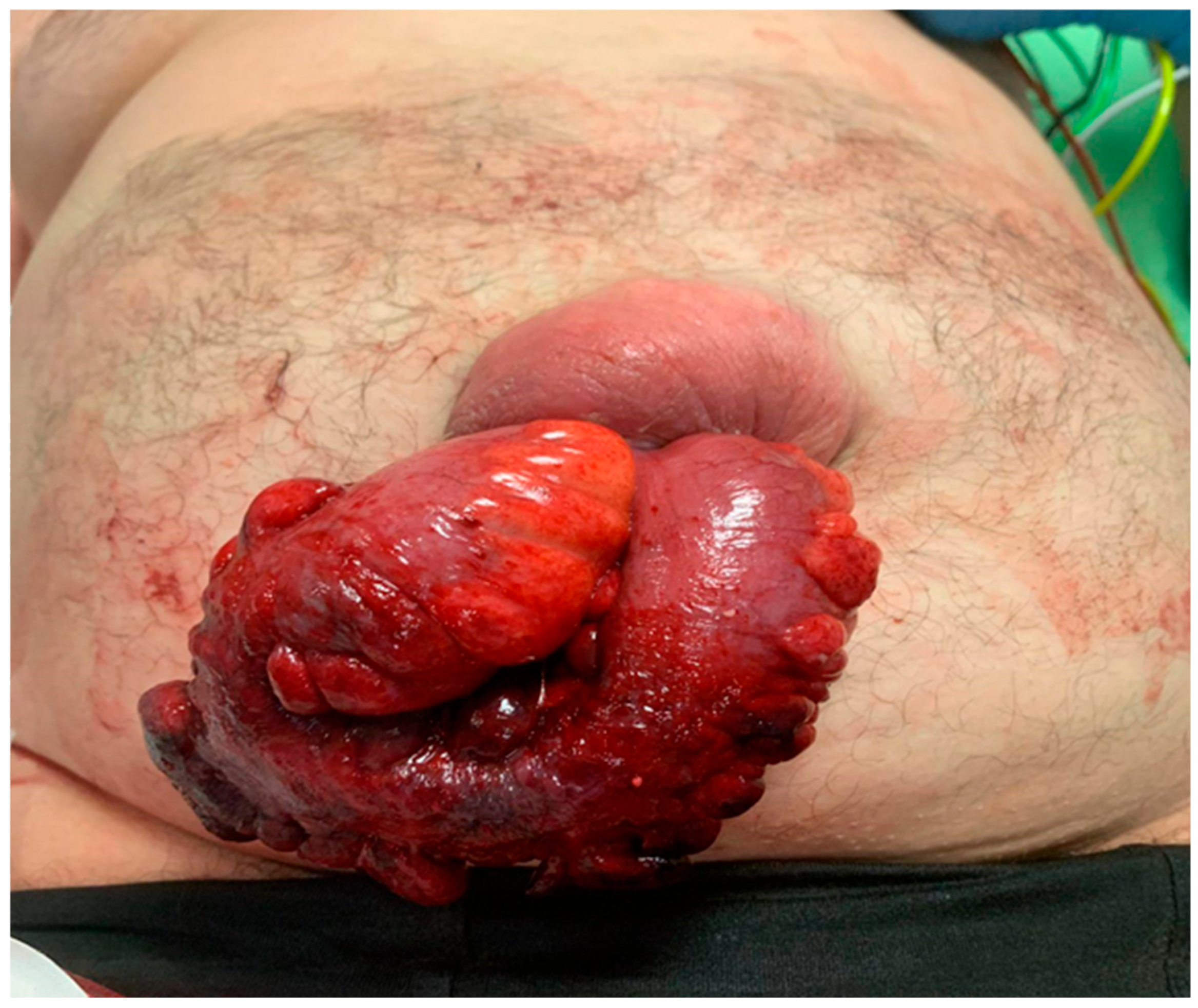 Clinpract 15 00099 g001 Clinpract 15 00099 g001