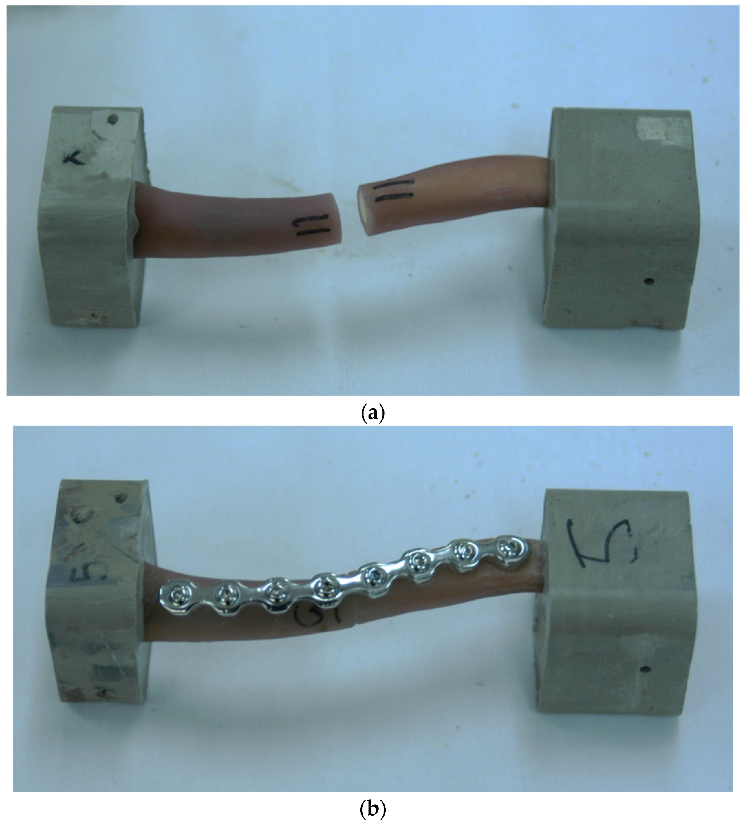 Clinpract 15 00101 g001