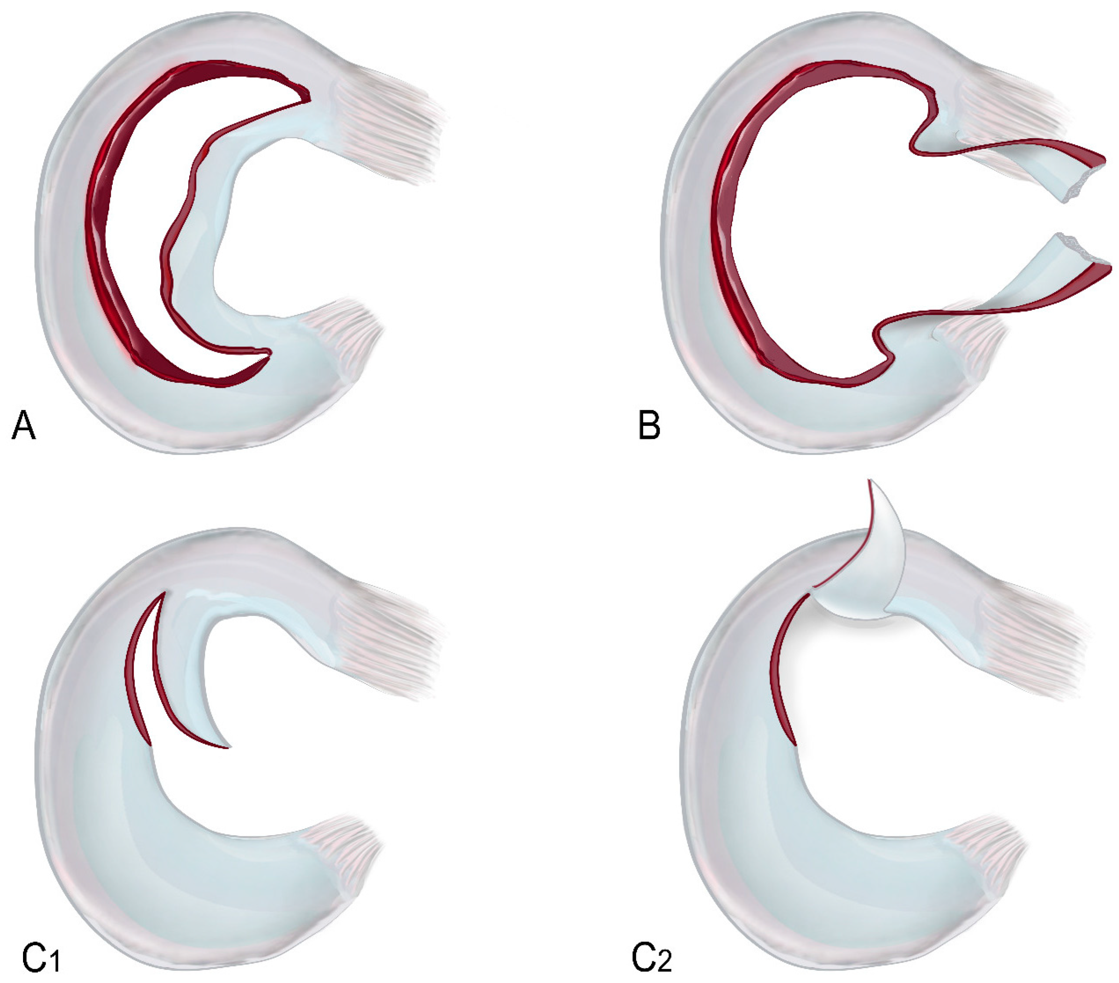 Clinpract 15 00109 g001