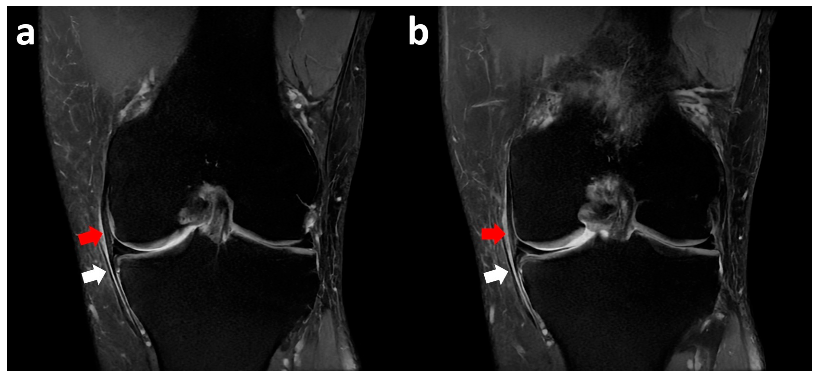 Clinpract 15 00109 g002
