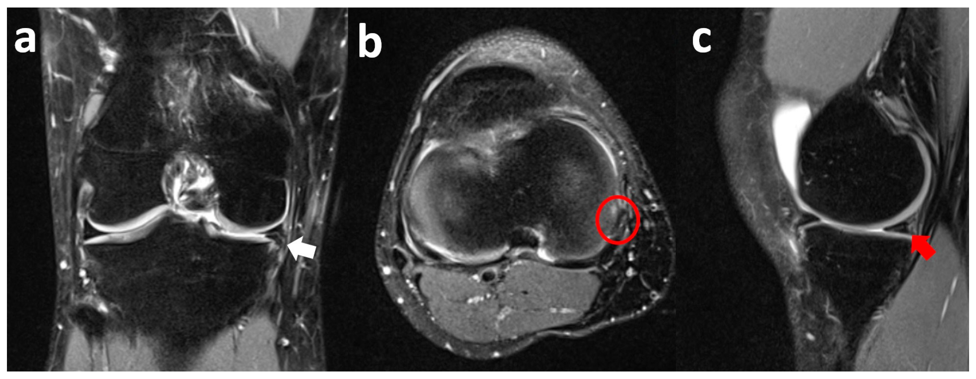 Clinpract 15 00109 g004