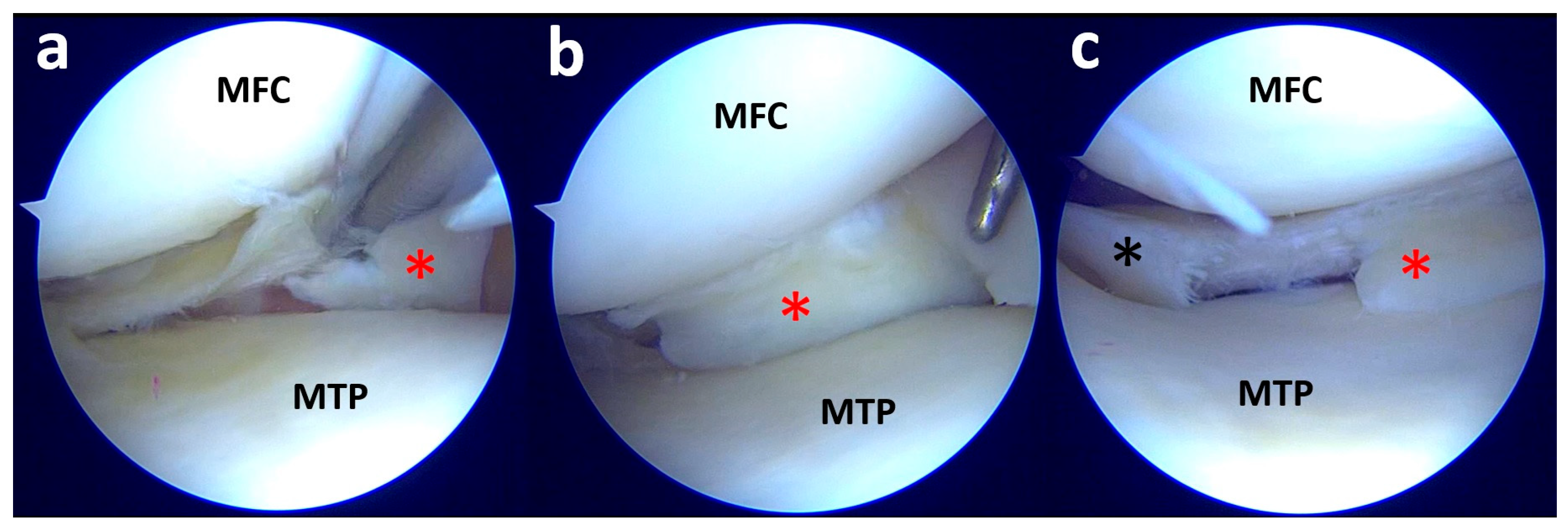 Clinpract 15 00109 g005