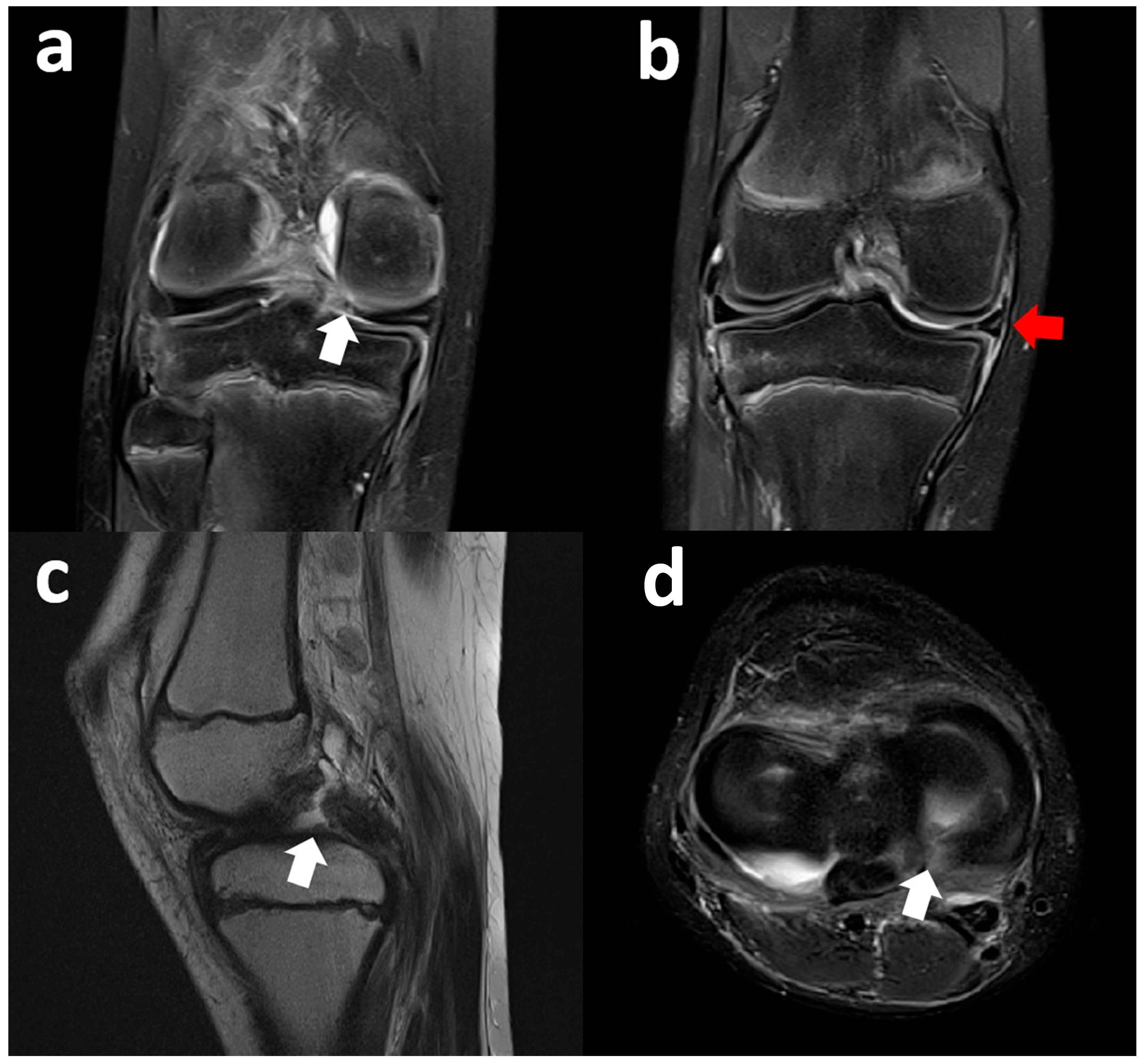 Clinpract 15 00109 g006
