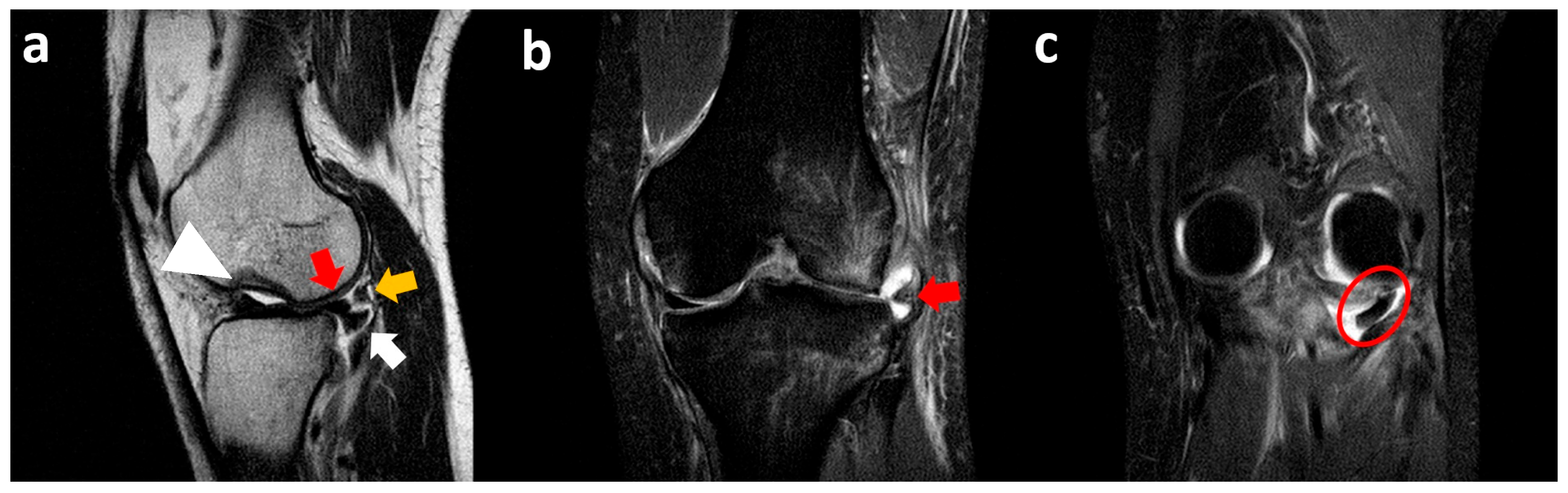 Clinpract 15 00109 g008