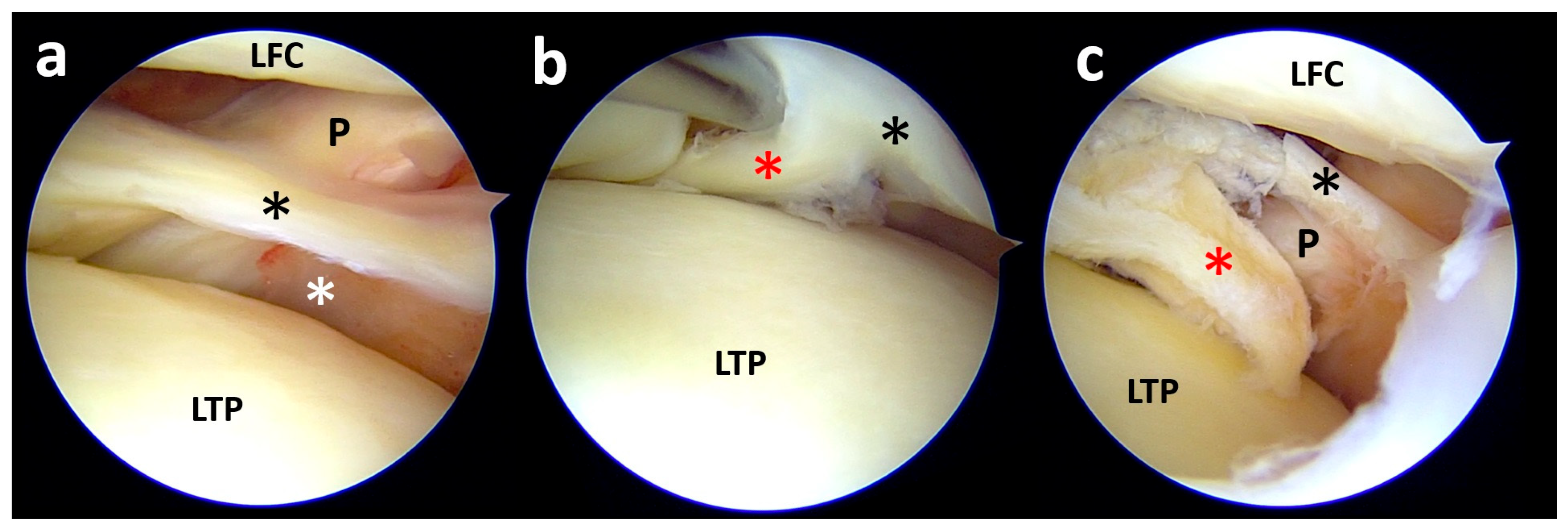Clinpract 15 00109 g009