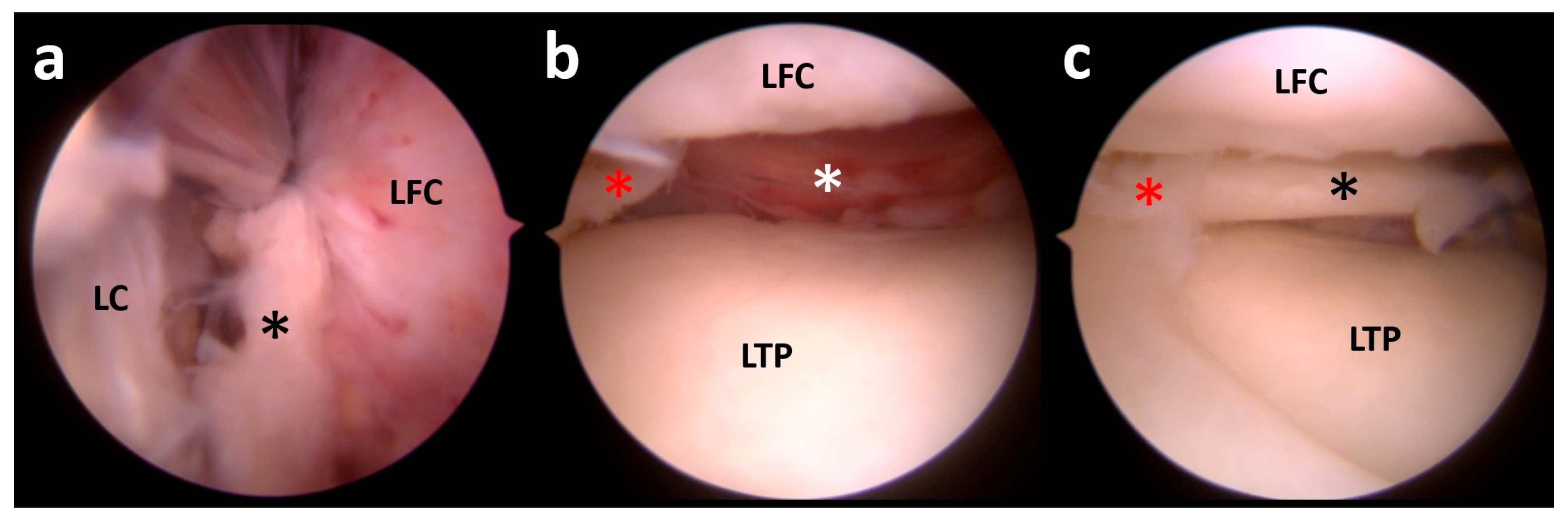 Clinpract 15 00109 g011