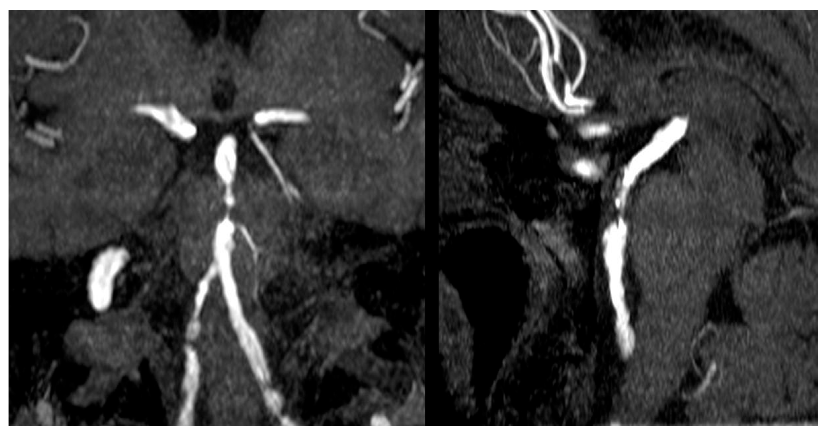 Clinpract 15 00113 g001