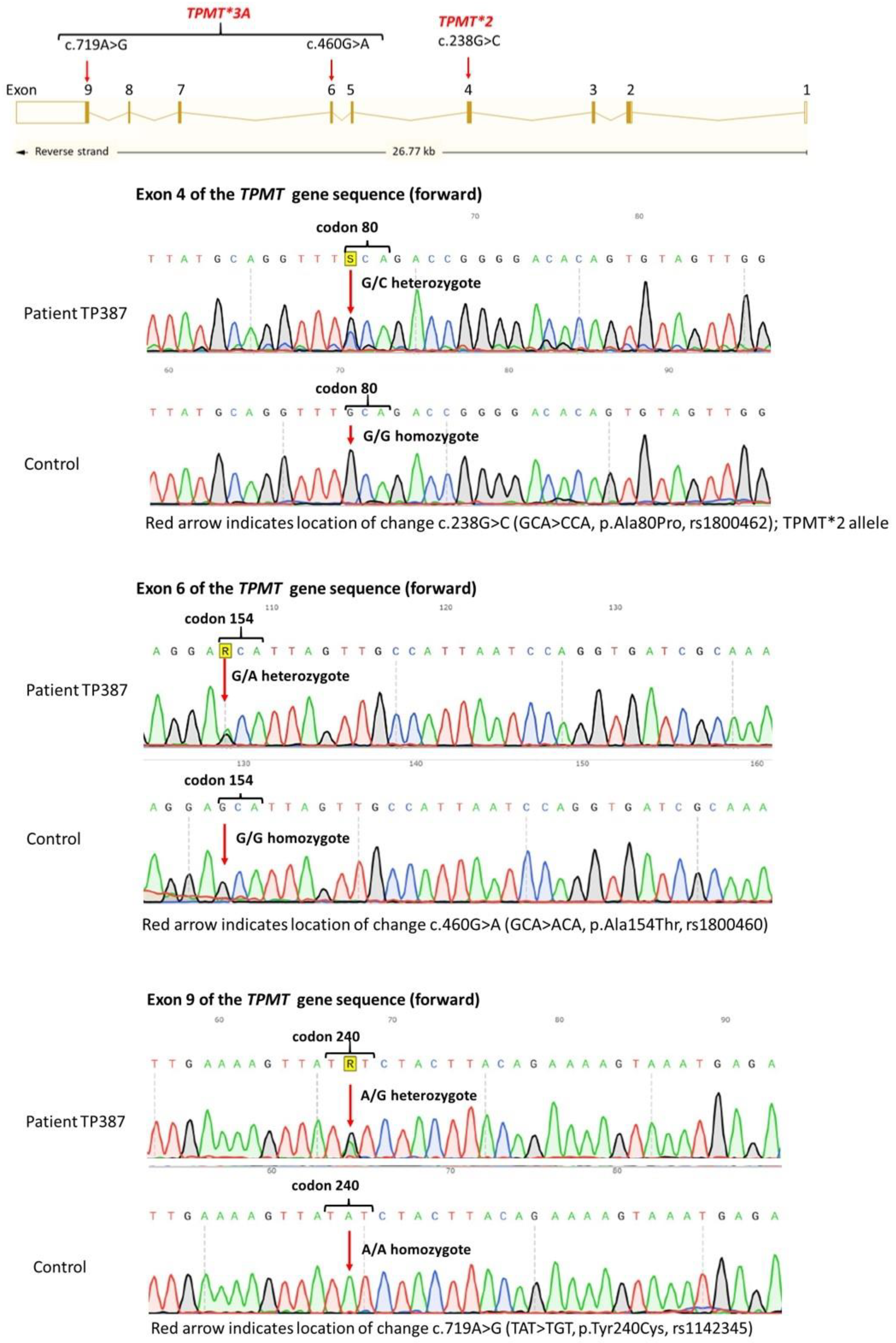 Clinpract 15 00114 g002