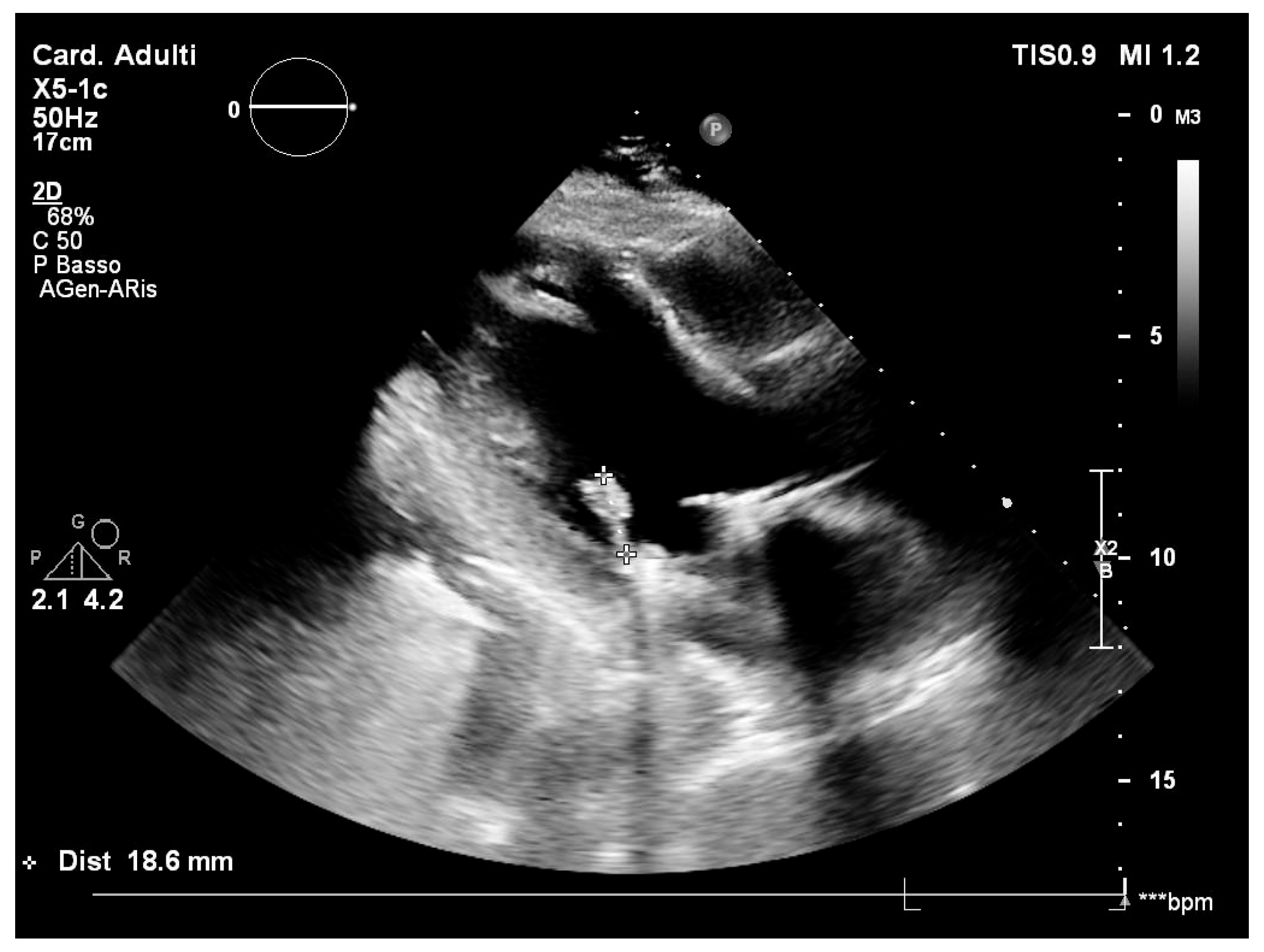 Clinpract 15 00118 g001a Clinpract 15 00118 g001a