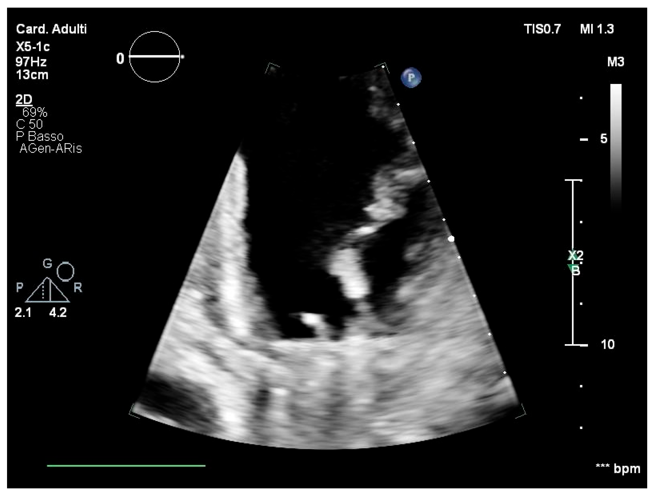 Clinpract 15 00118 g001b Clinpract 15 00118 g001b