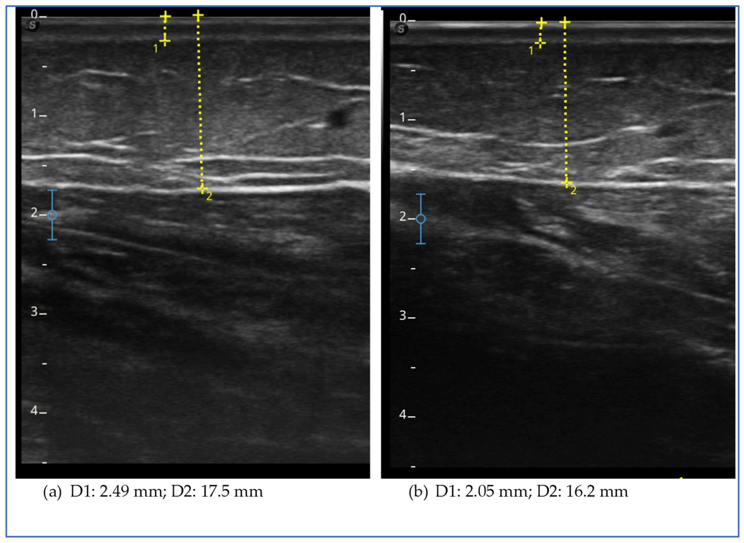 Clinpract 15 00128 g002