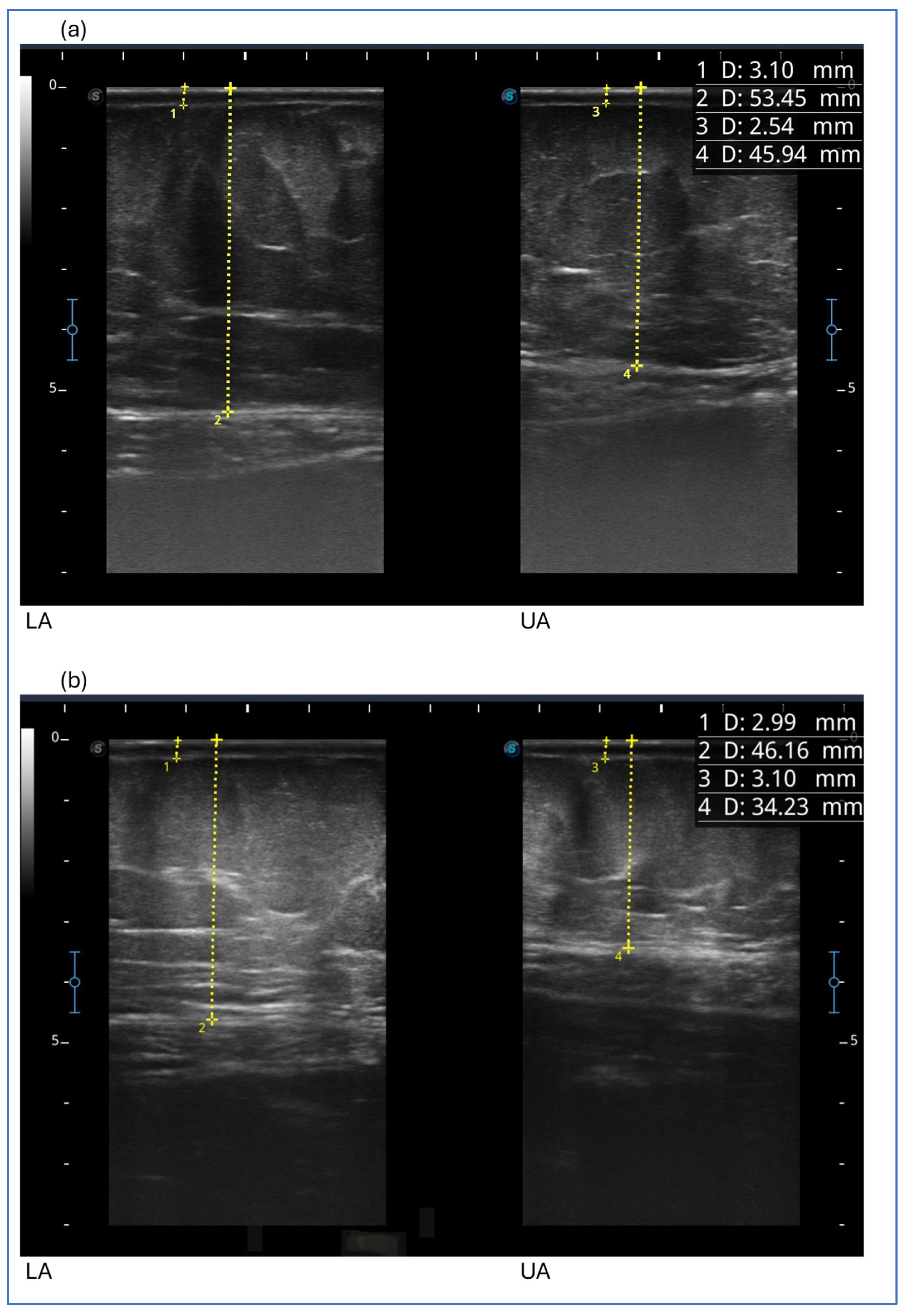 Clinpract 15 00128 g004