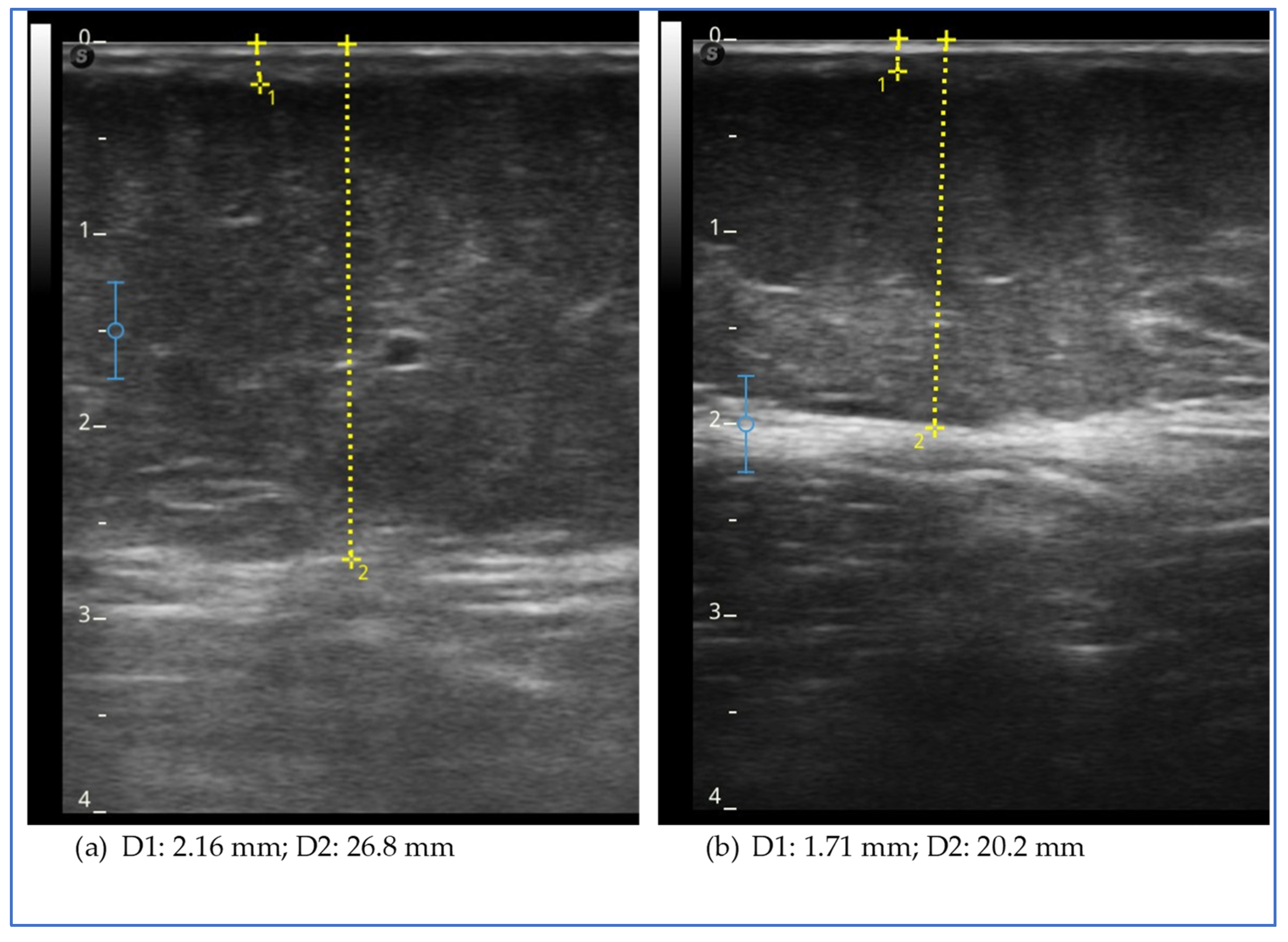 Clinpract 15 00128 g005