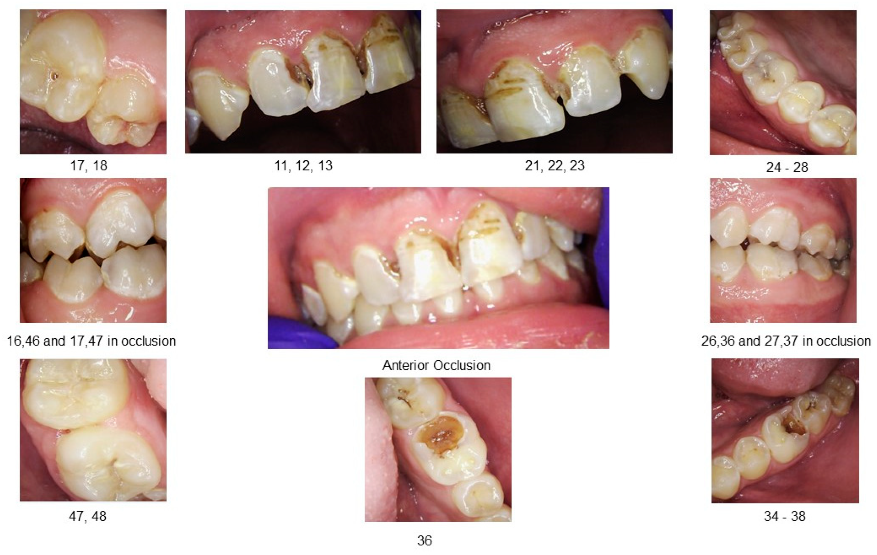 Clinpract 15 00136 g001 Clinpract 15 00136 g001