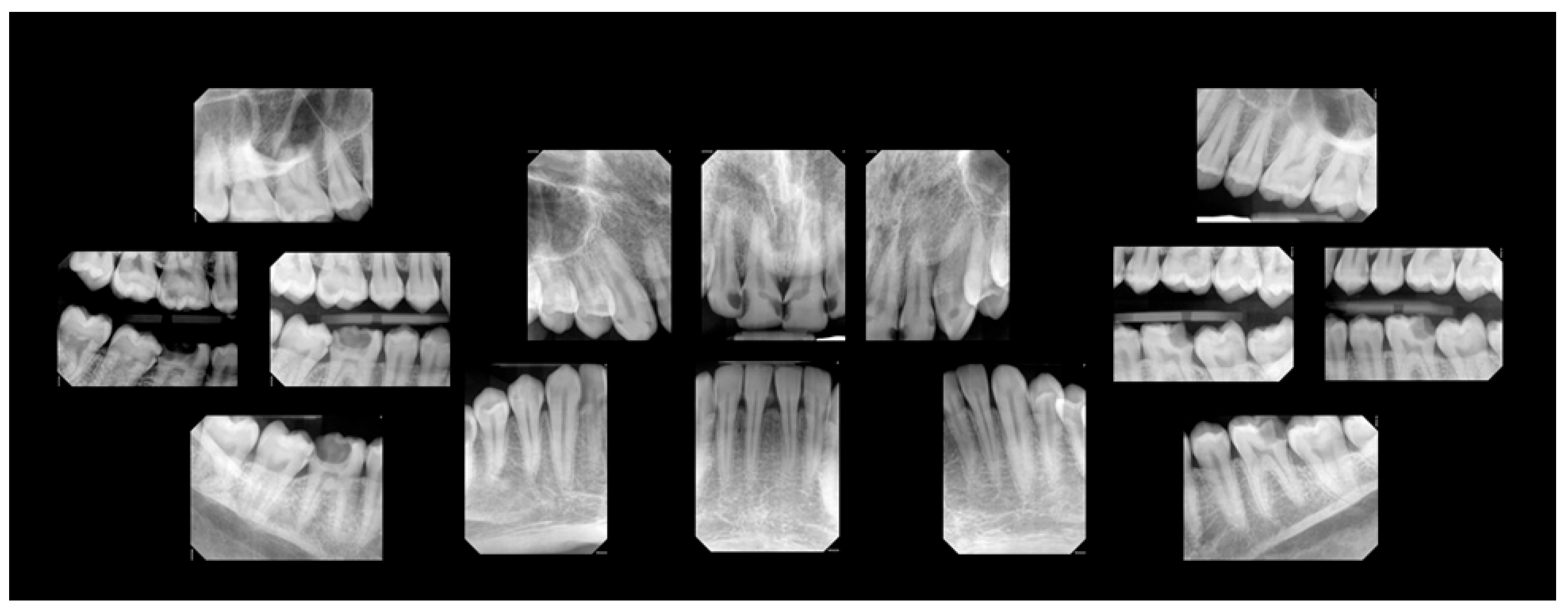 Clinpract 15 00136 g002 Clinpract 15 00136 g002