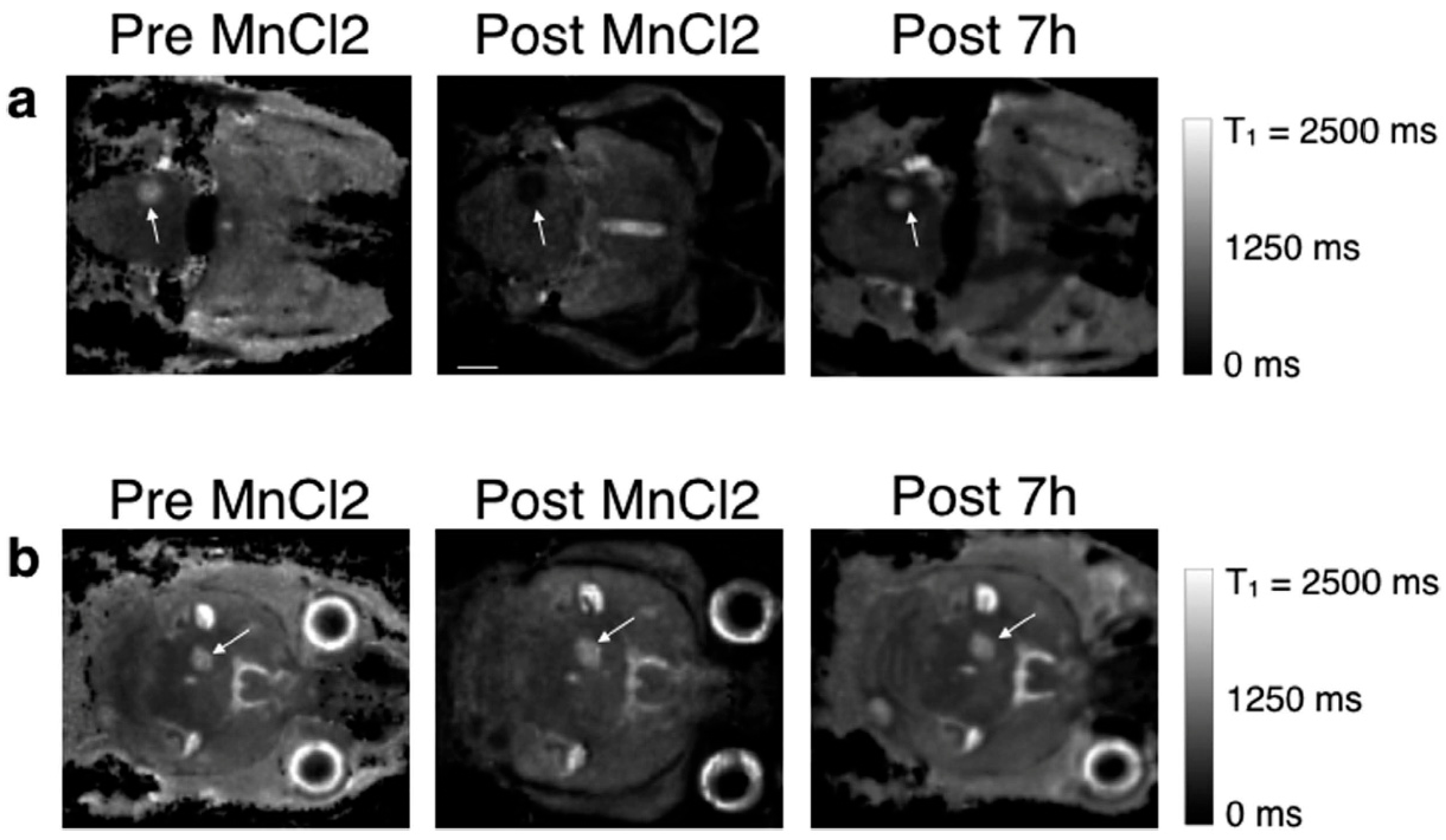 Clinpract 15 00137 g001 Clinpract 15 00137 g001