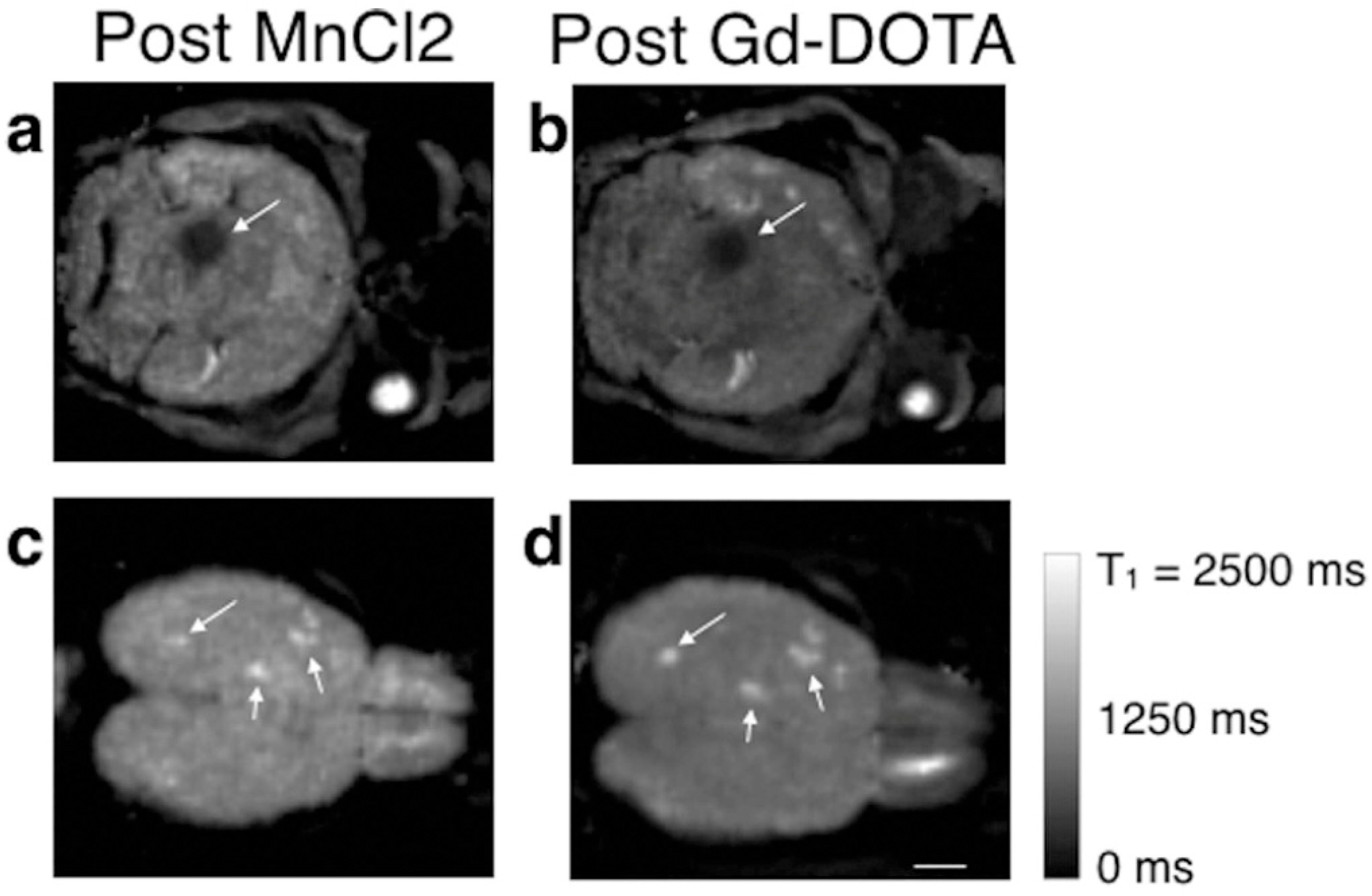 Clinpract 15 00137 g002 Clinpract 15 00137 g002