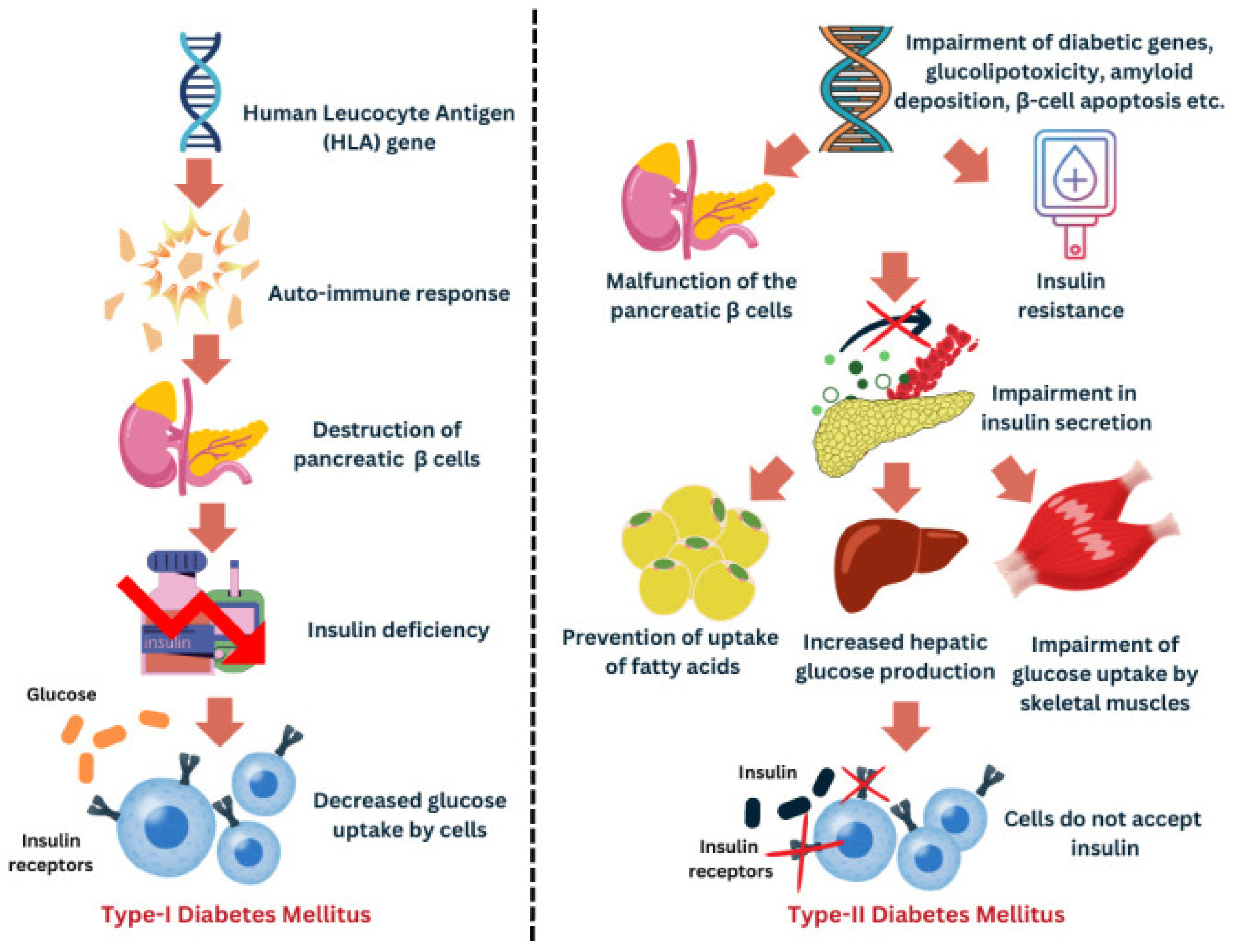 Clinpract 15 00148 g002 Clinpract 15 00148 g002