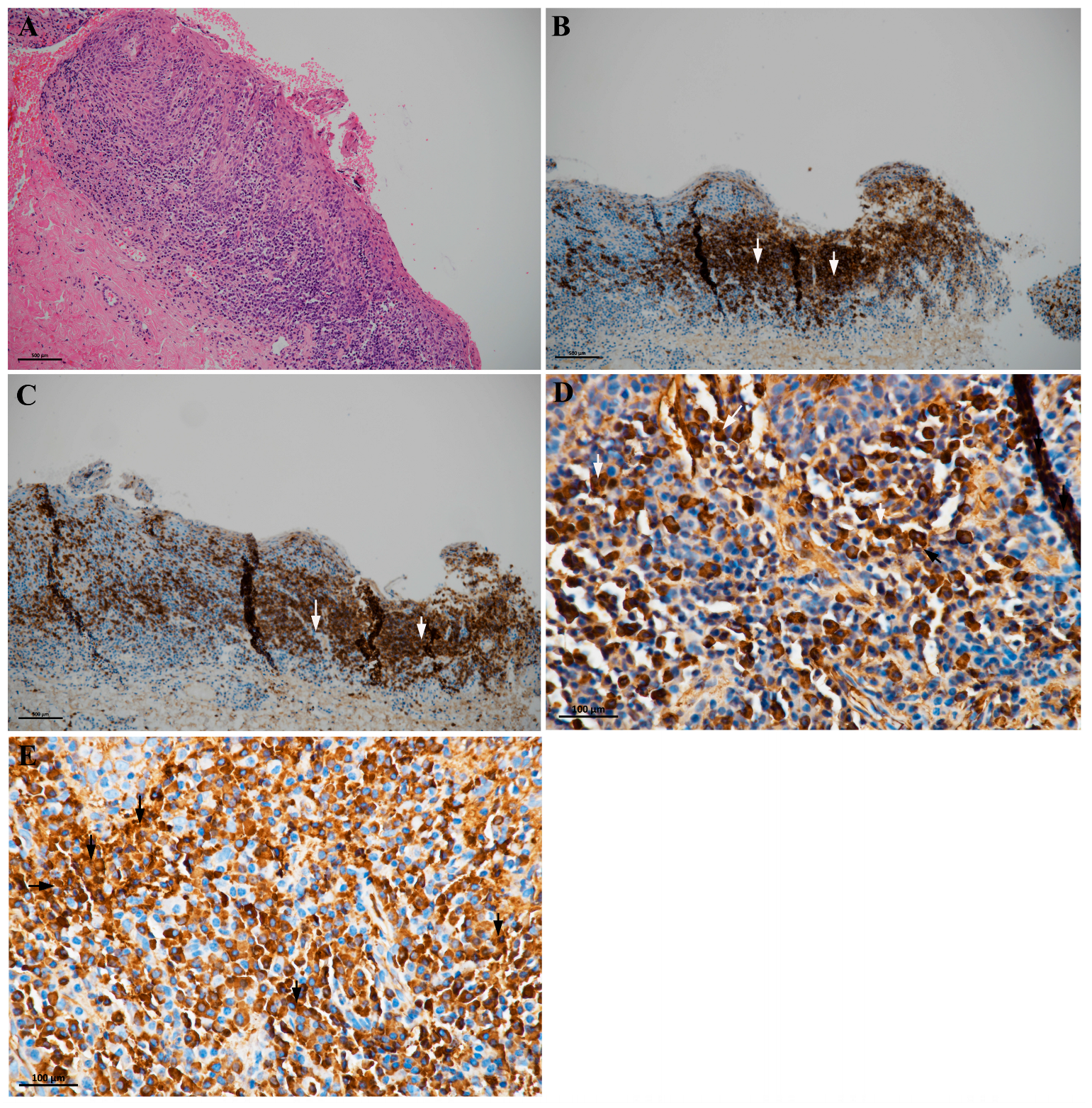 Clinpract 15 00158 g003
