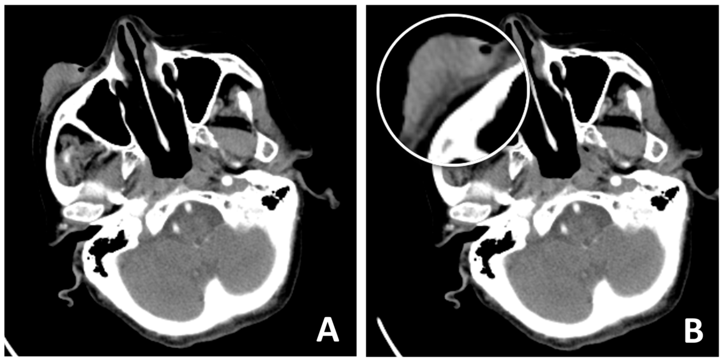 Clinpract 15 00165 g002 Clinpract 15 00165 g002
