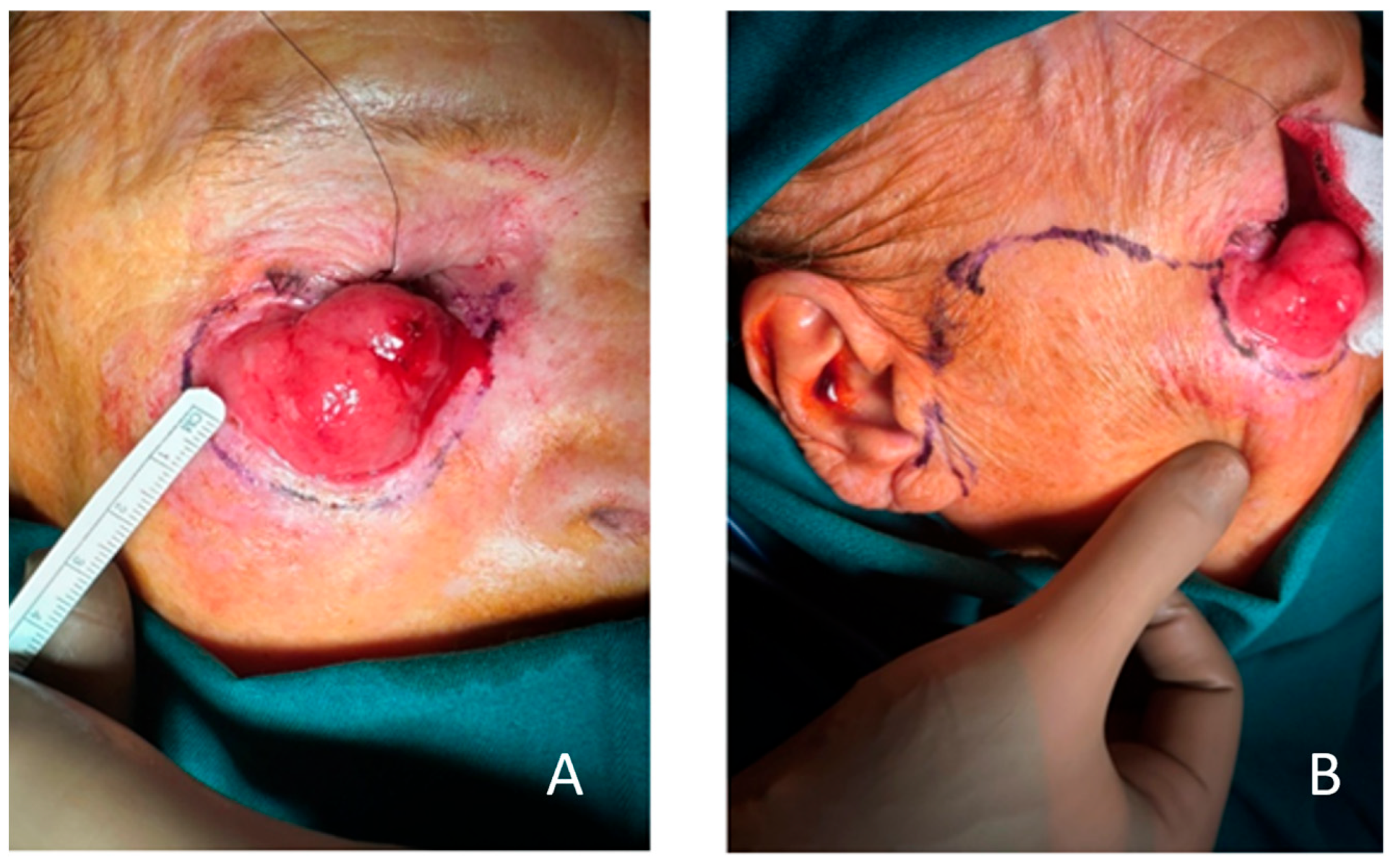 Clinpract 15 00165 g003 Clinpract 15 00165 g003