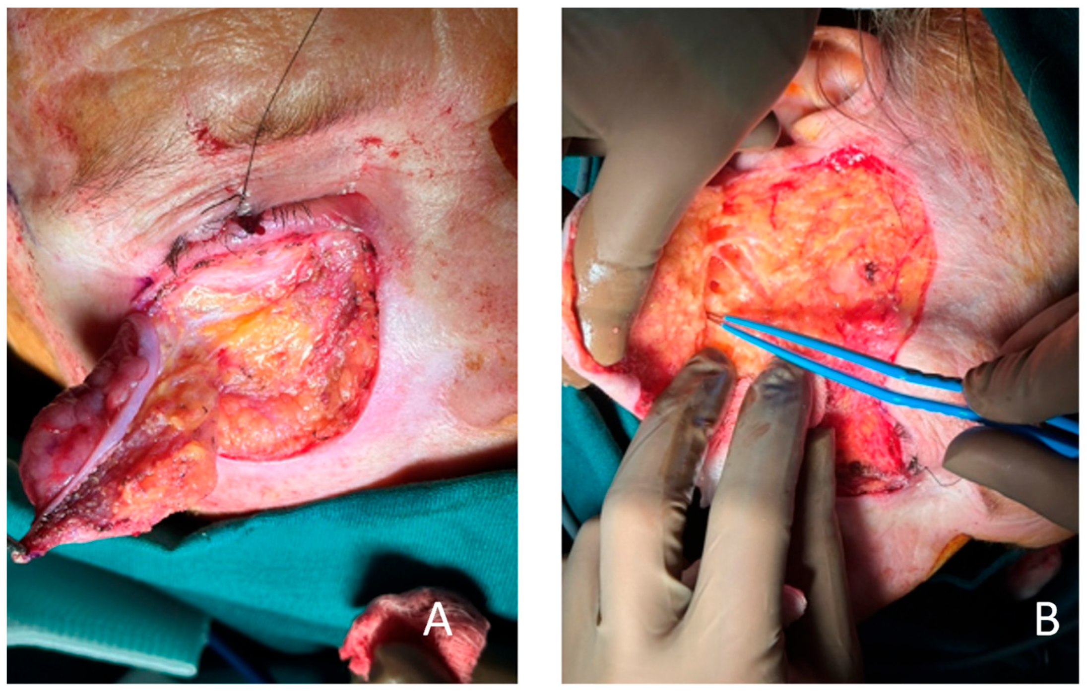 Clinpract 15 00165 g004 Clinpract 15 00165 g004