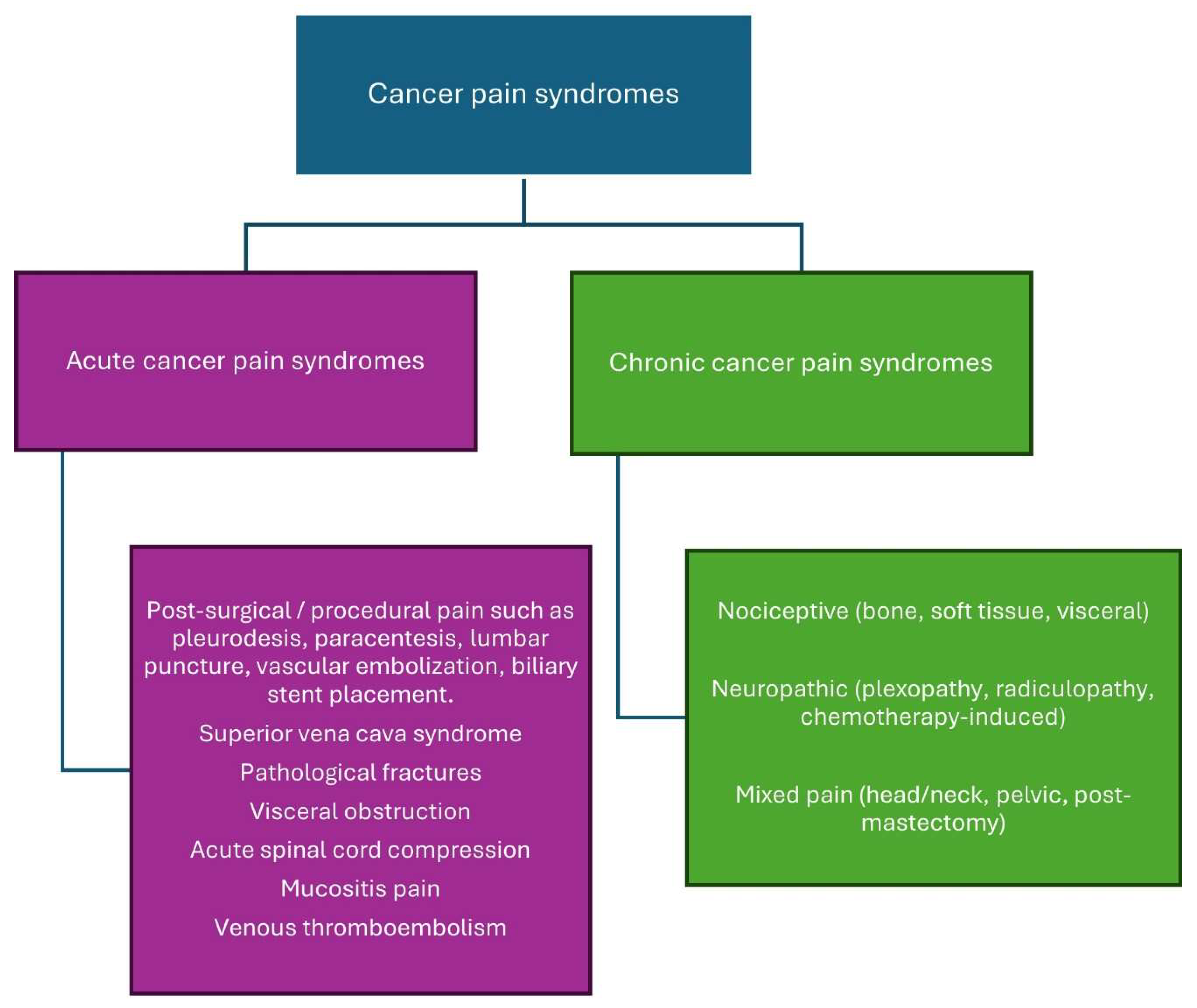 Clinpract 15 00173 g002