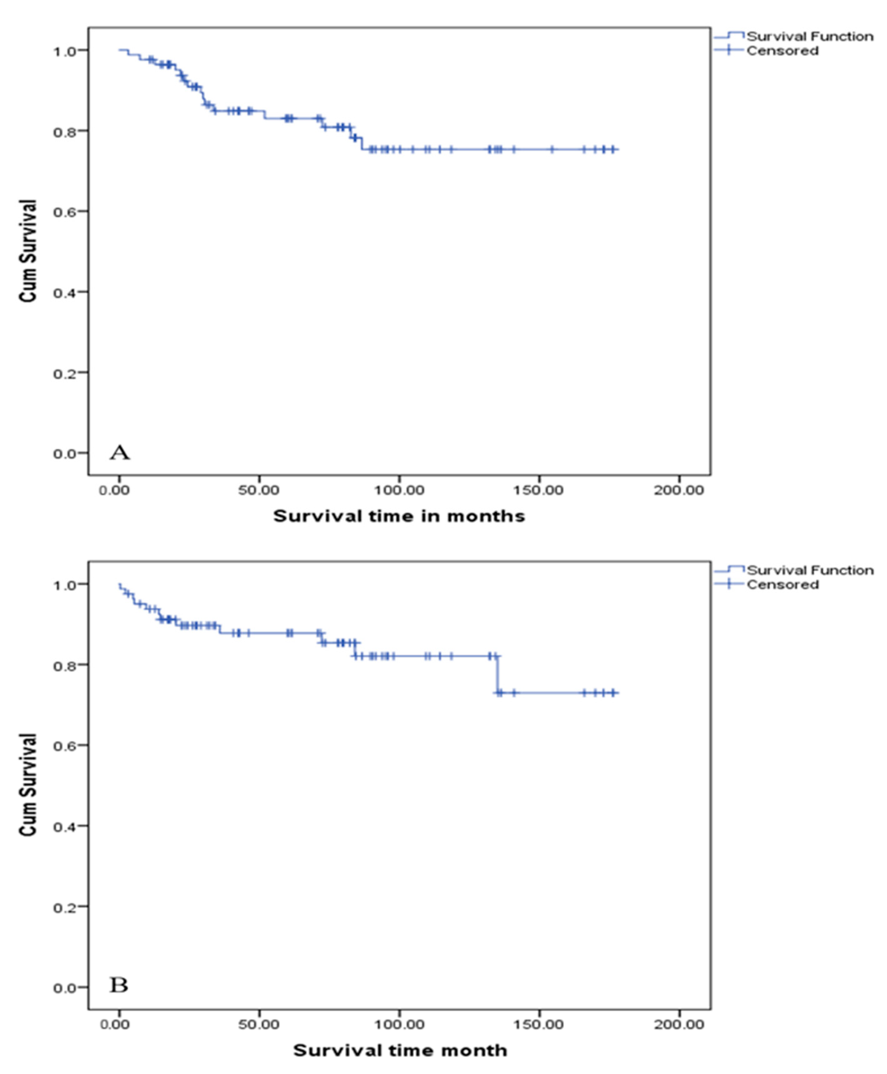 Clinpract 15 00202 g003