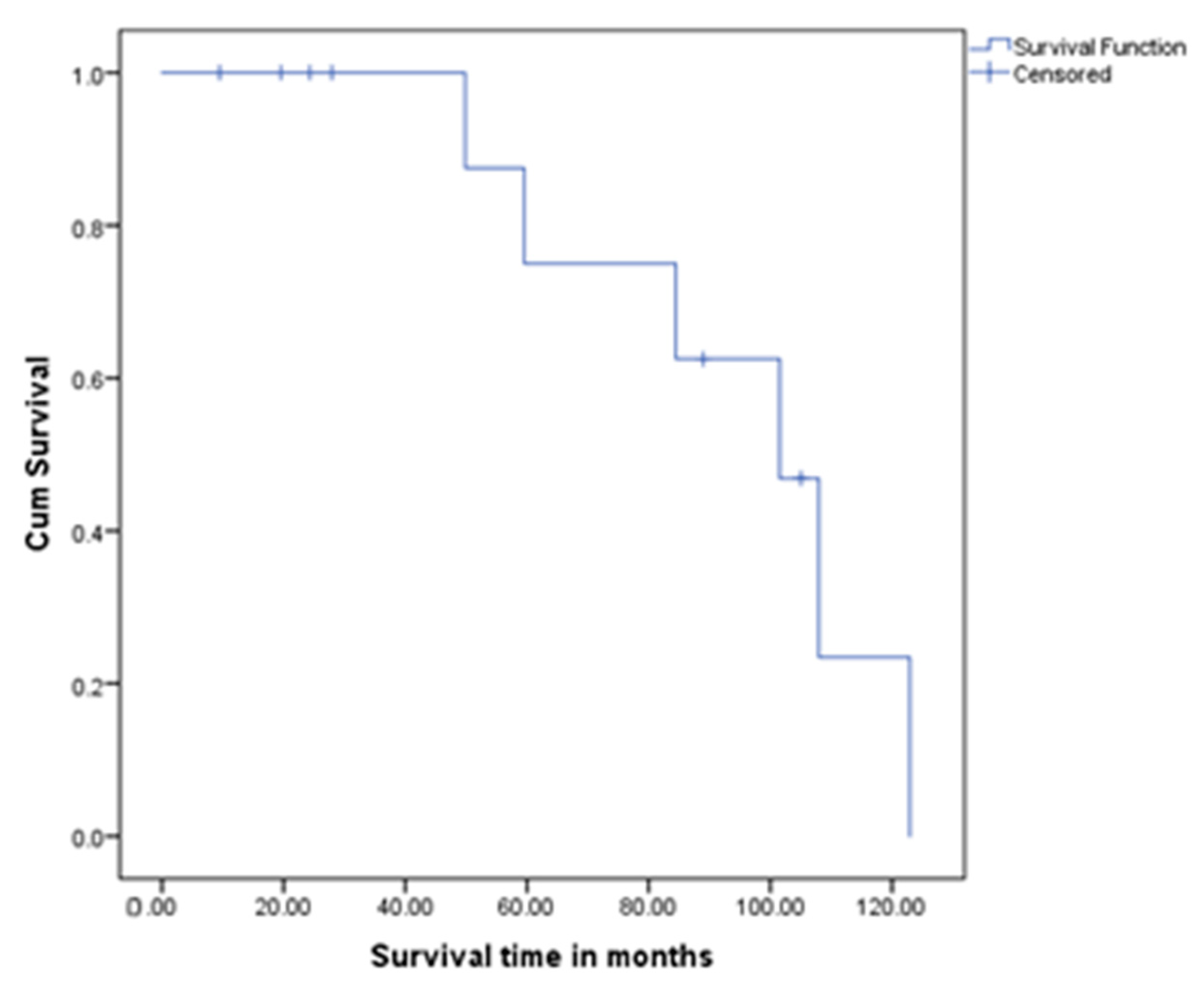 Clinpract 15 00202 g004