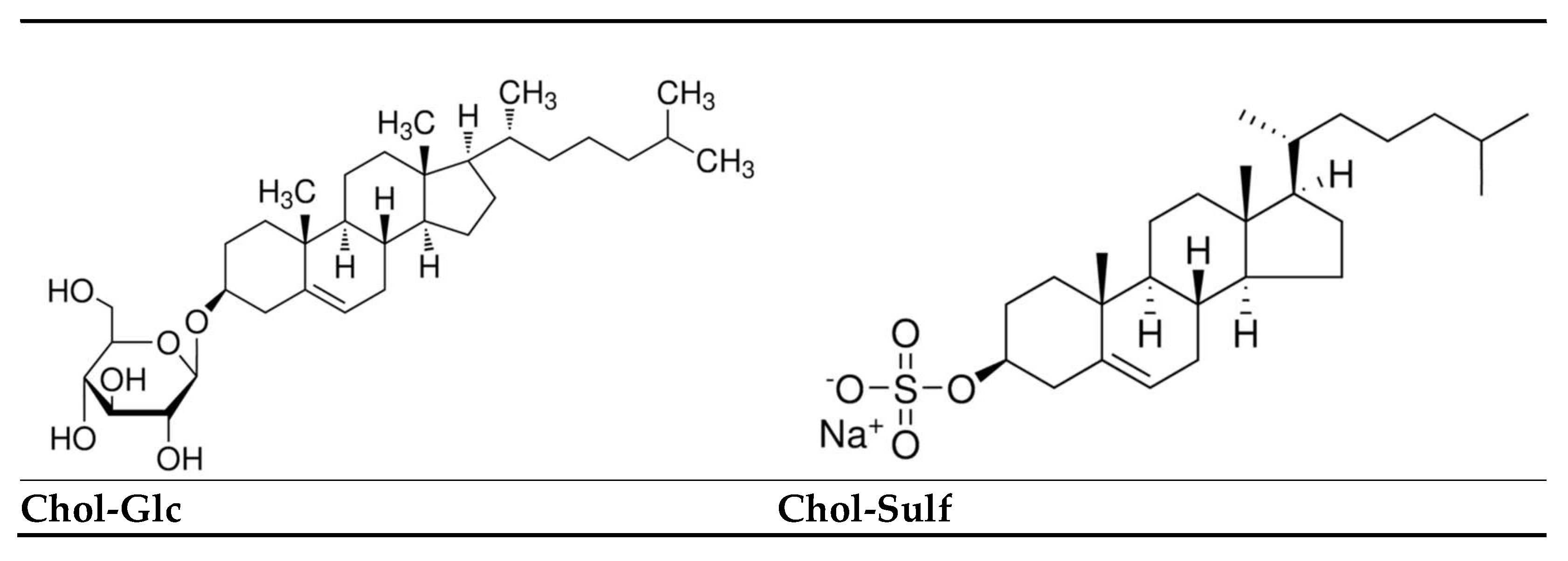 Clinpract 15 00217 g001