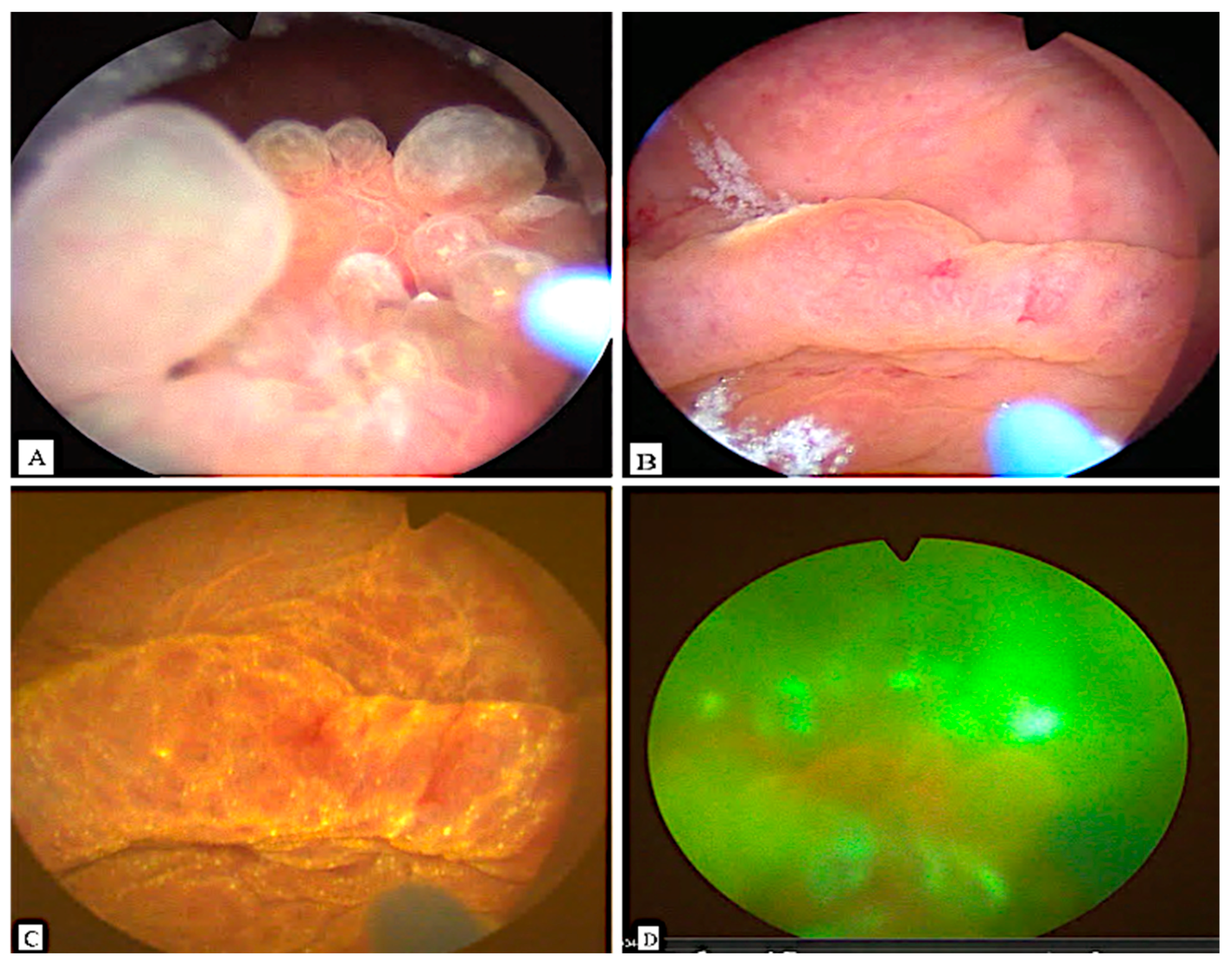 Clinpract 15 00218 g001