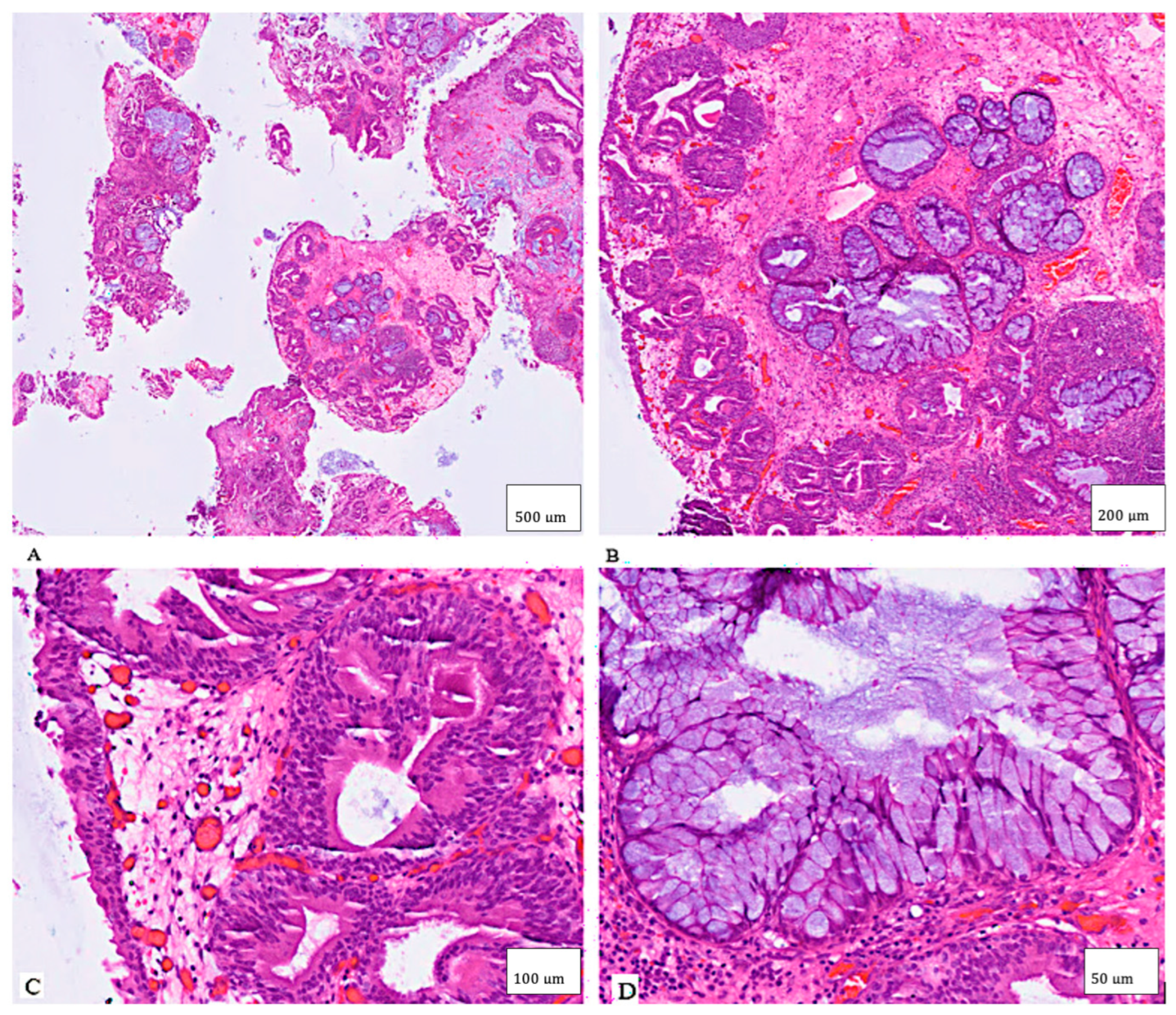 Clinpract 15 00218 g002