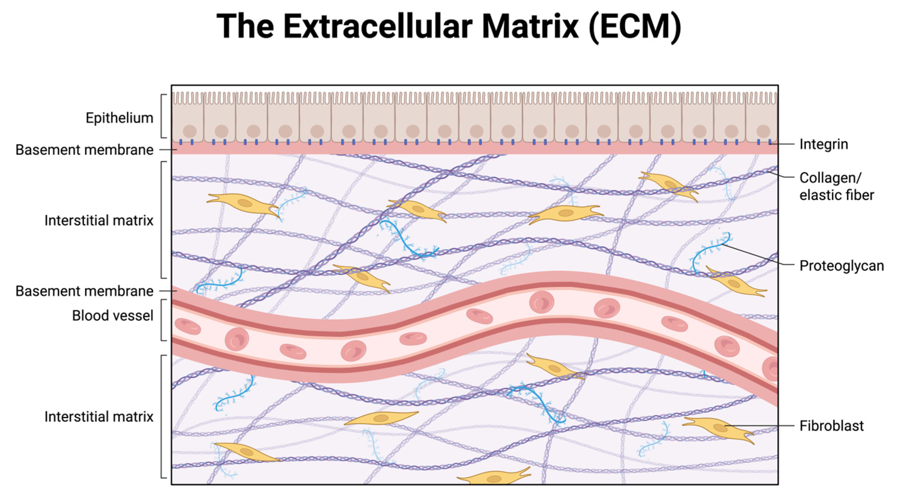 Clinpract 15 00219 g001