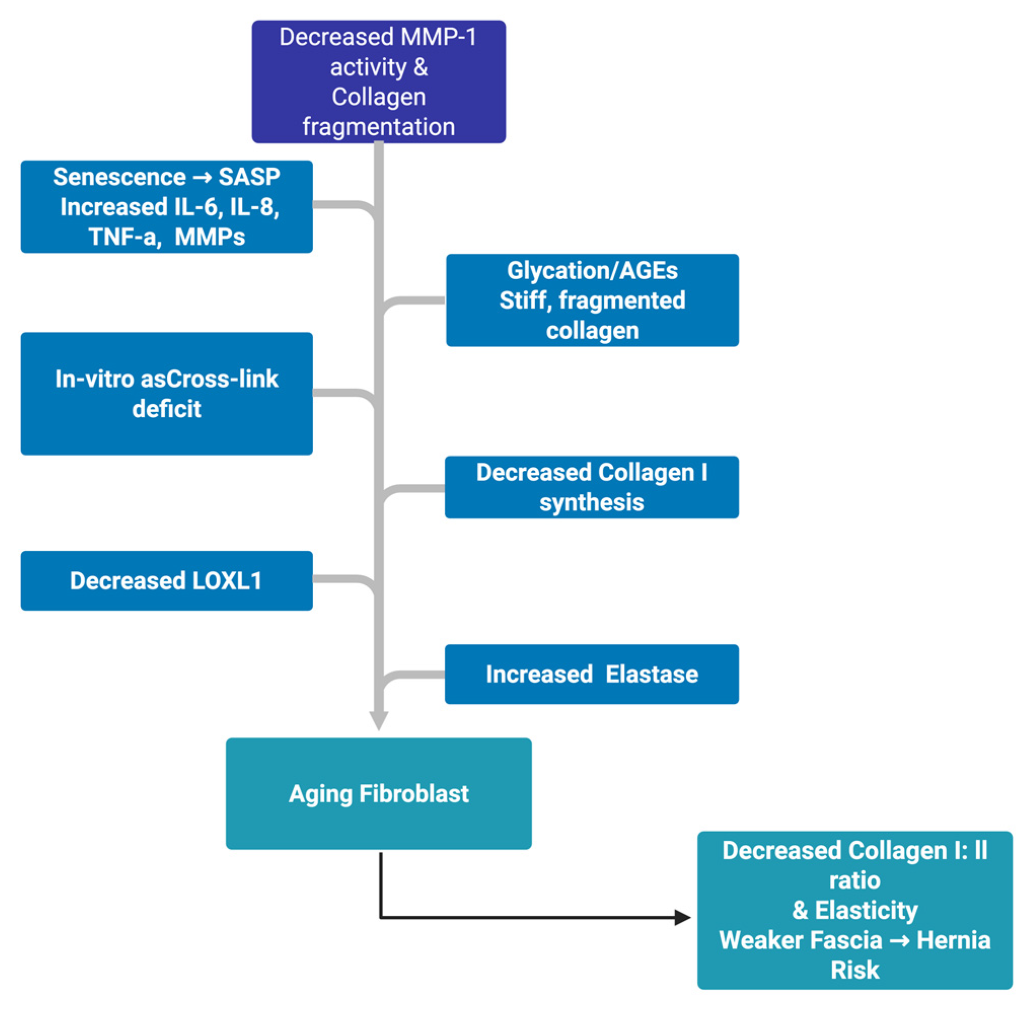 Clinpract 15 00219 g002