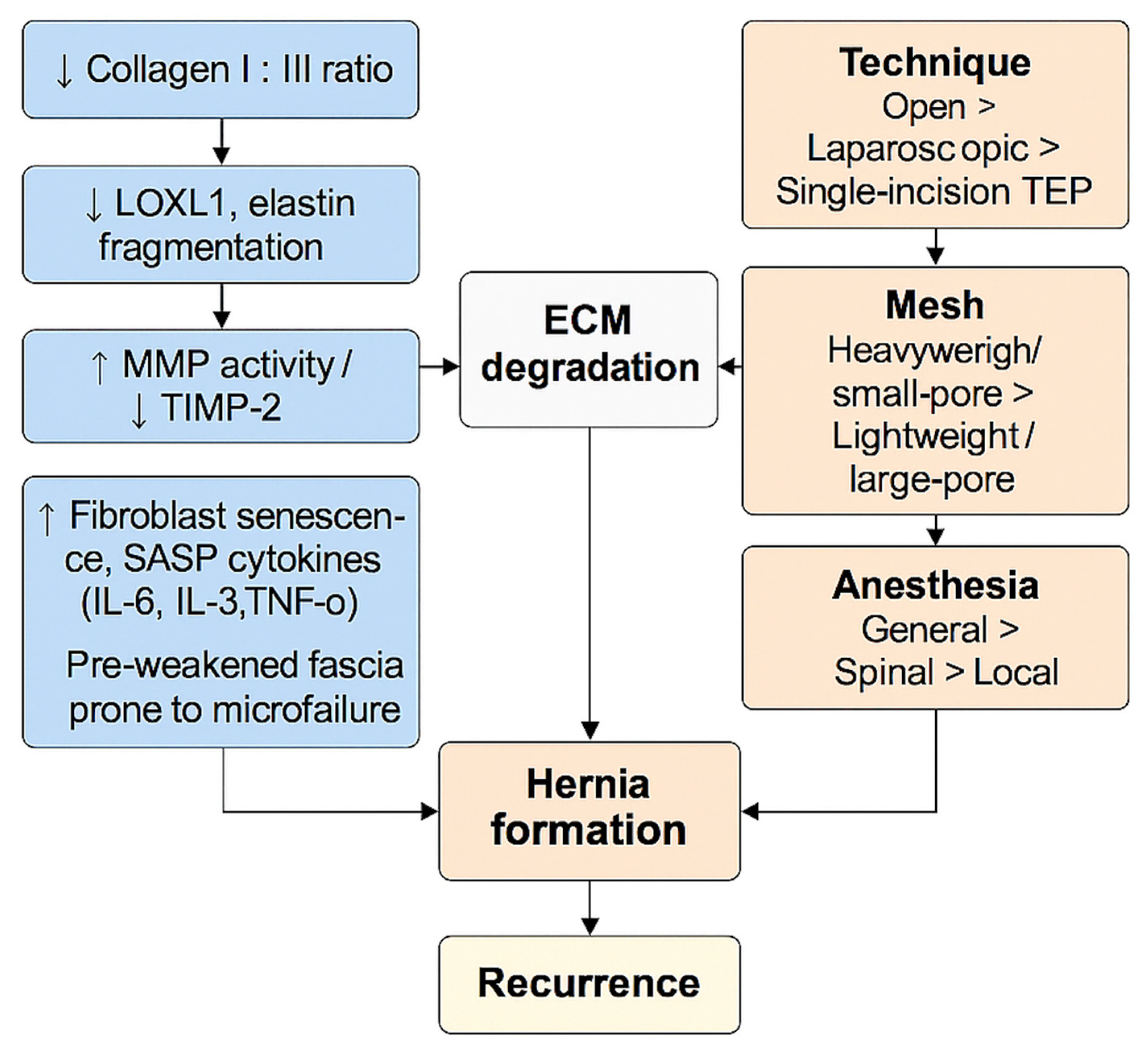 Clinpract 15 00219 g003