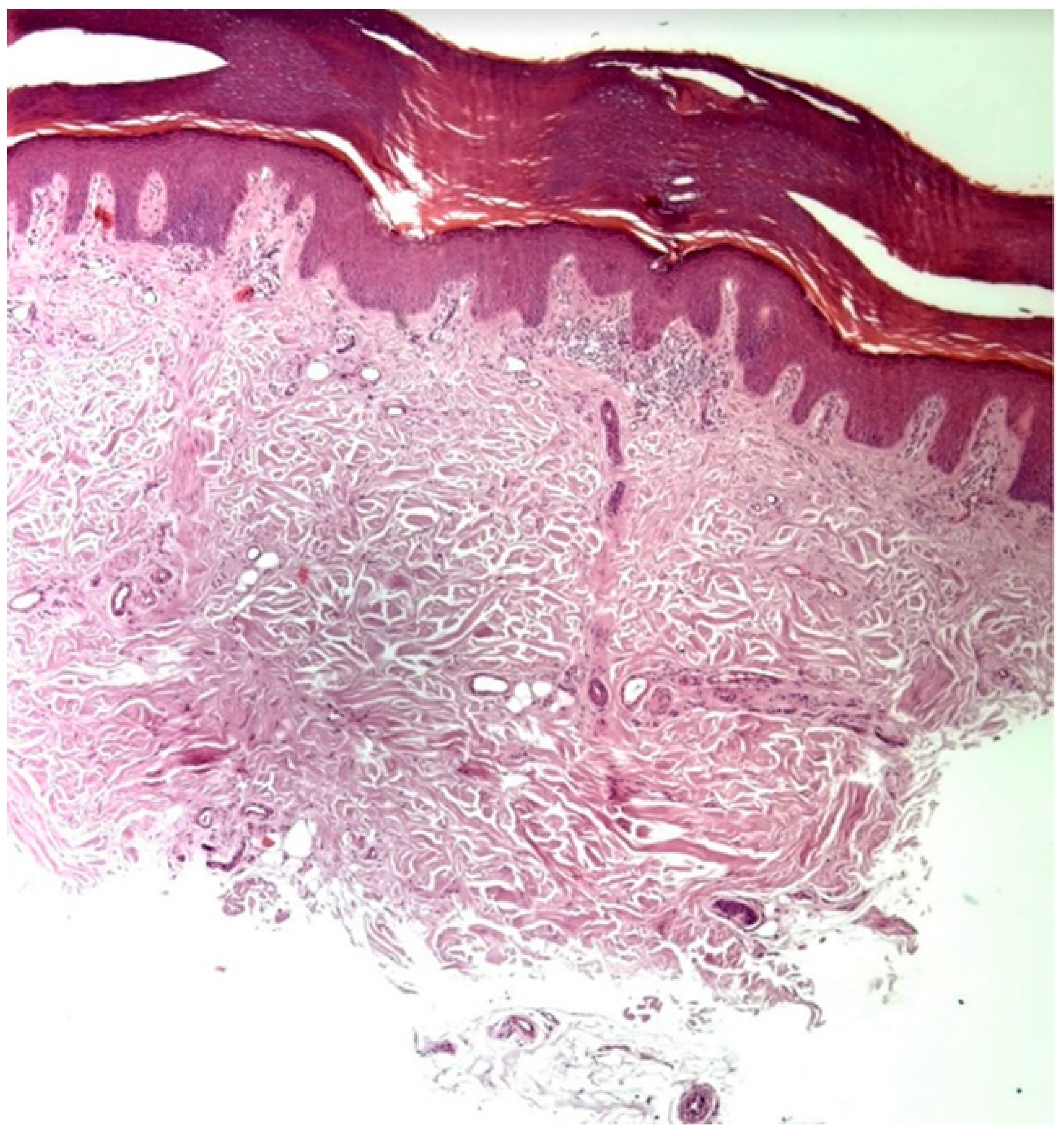 Clinpract 15 00224 g004